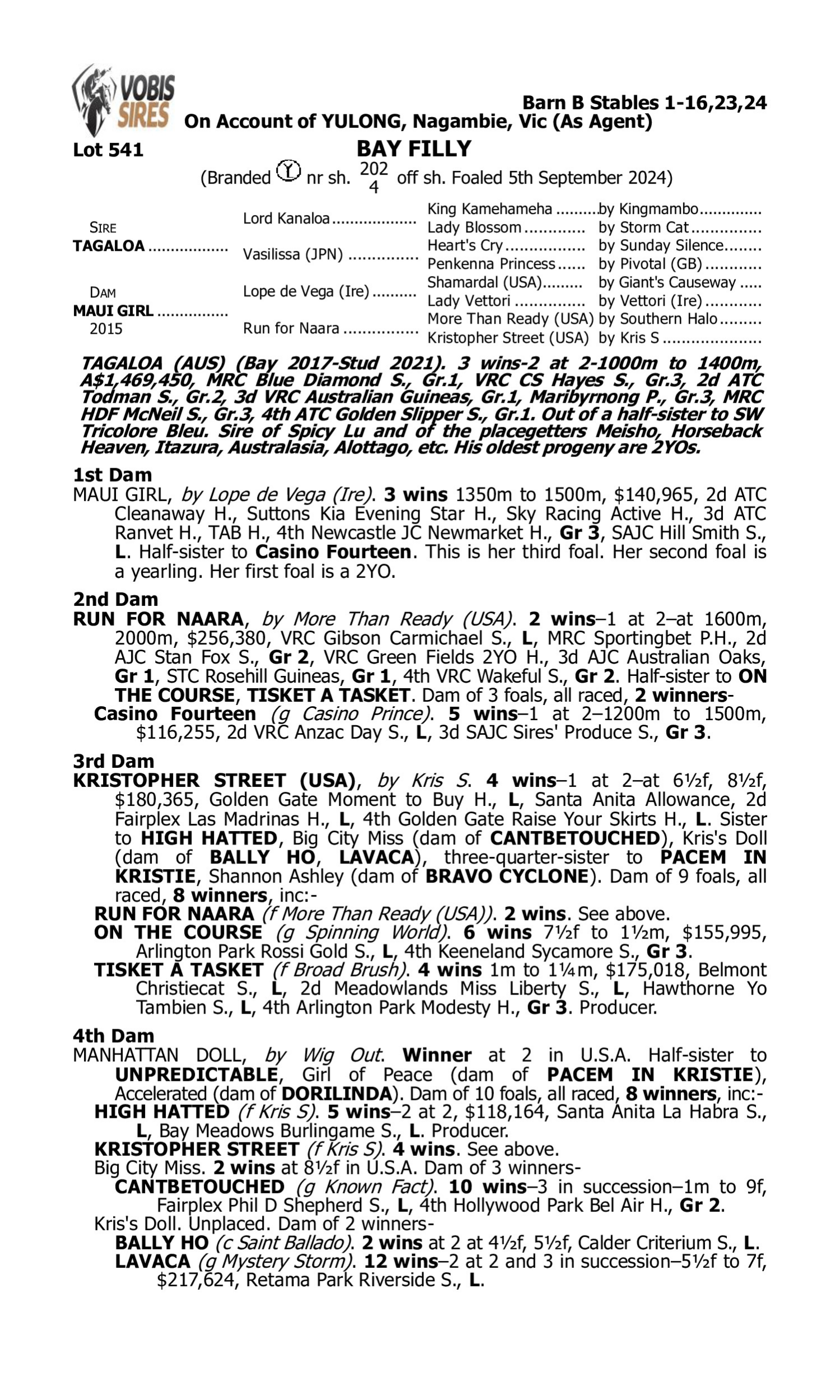 Pedigree for Lot 541 Tagaloa - Maui Girl