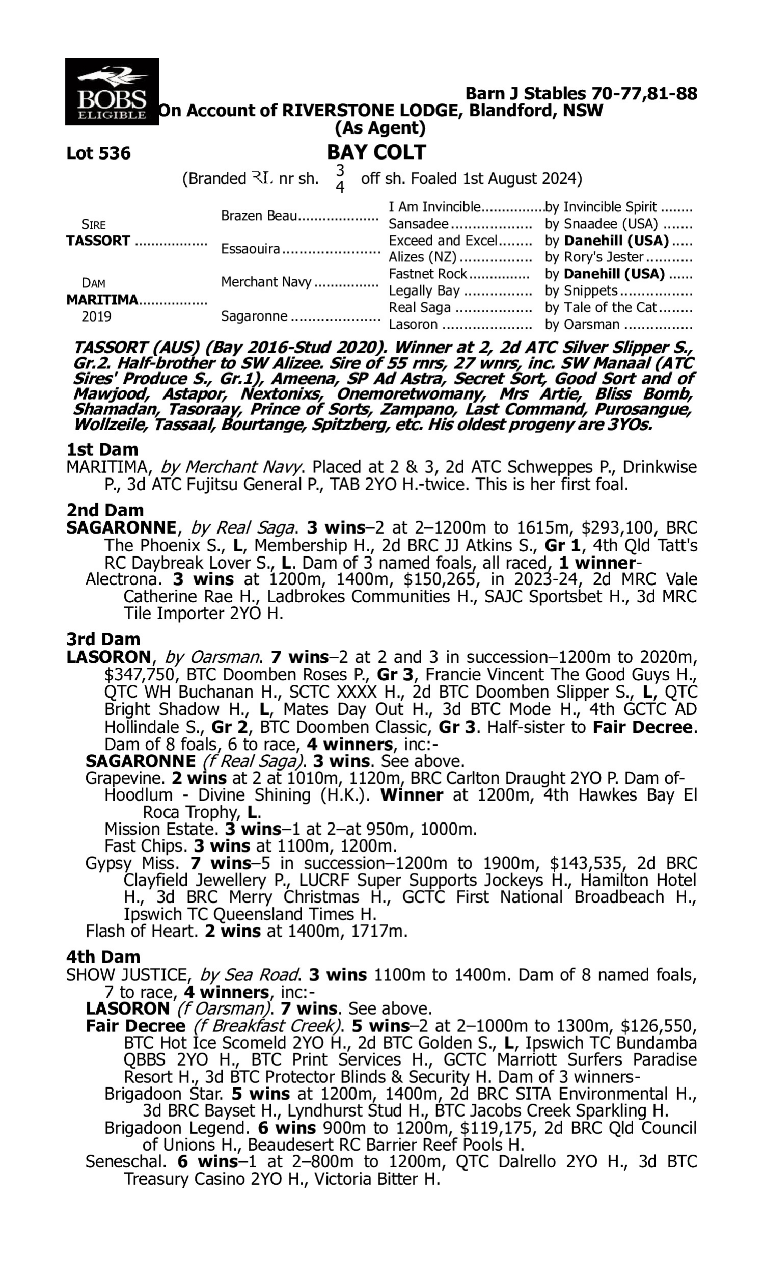 Pedigree for Lot 536 Tassort - Maritima