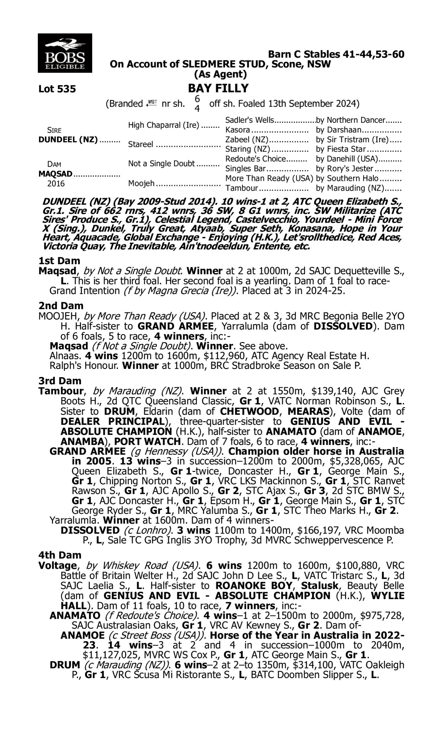 Pedigree for Lot 535 Dundeel (NZ) - Maqsad
