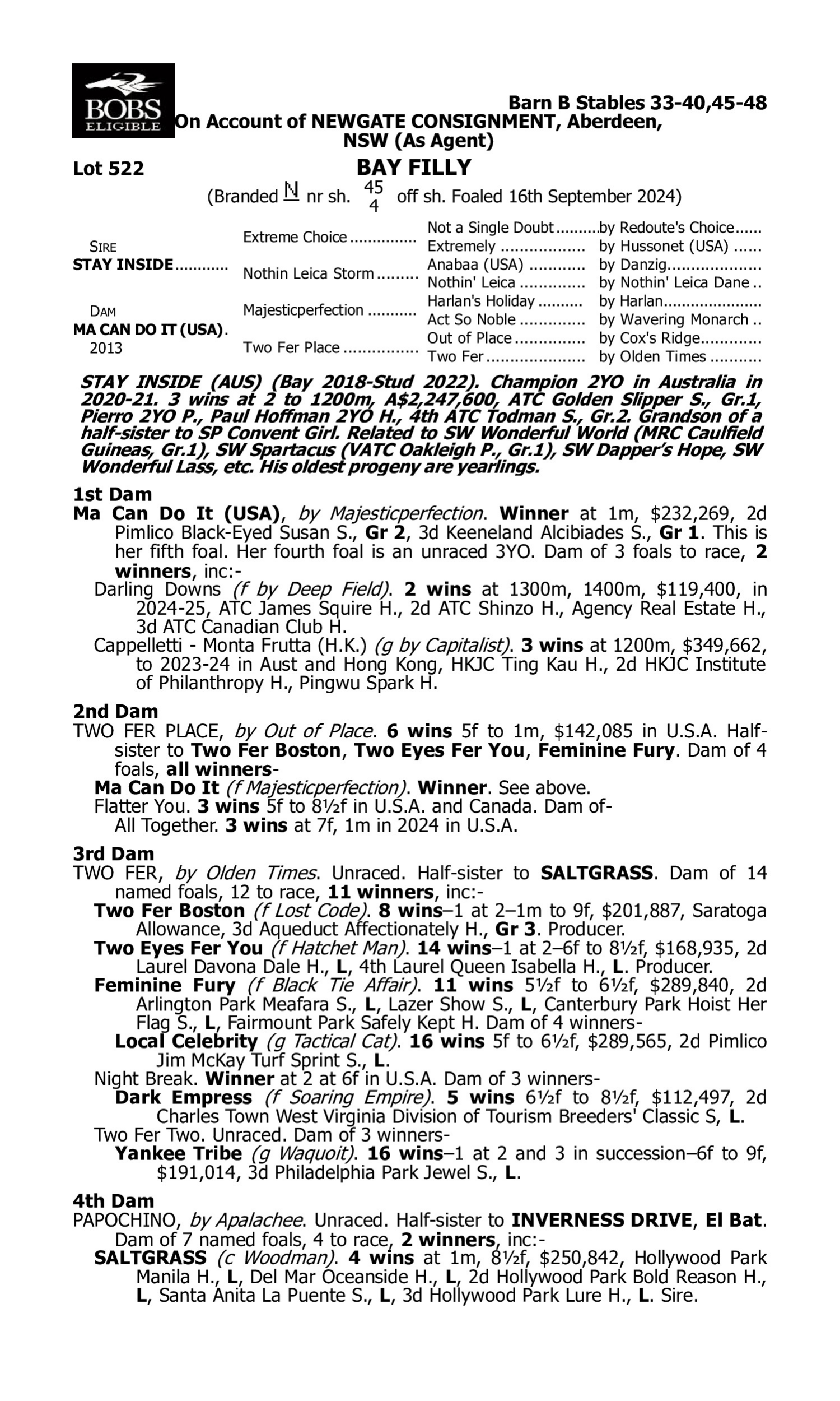 Pedigree for Lot 522 Stay Inside - Ma Can Do It (USA)