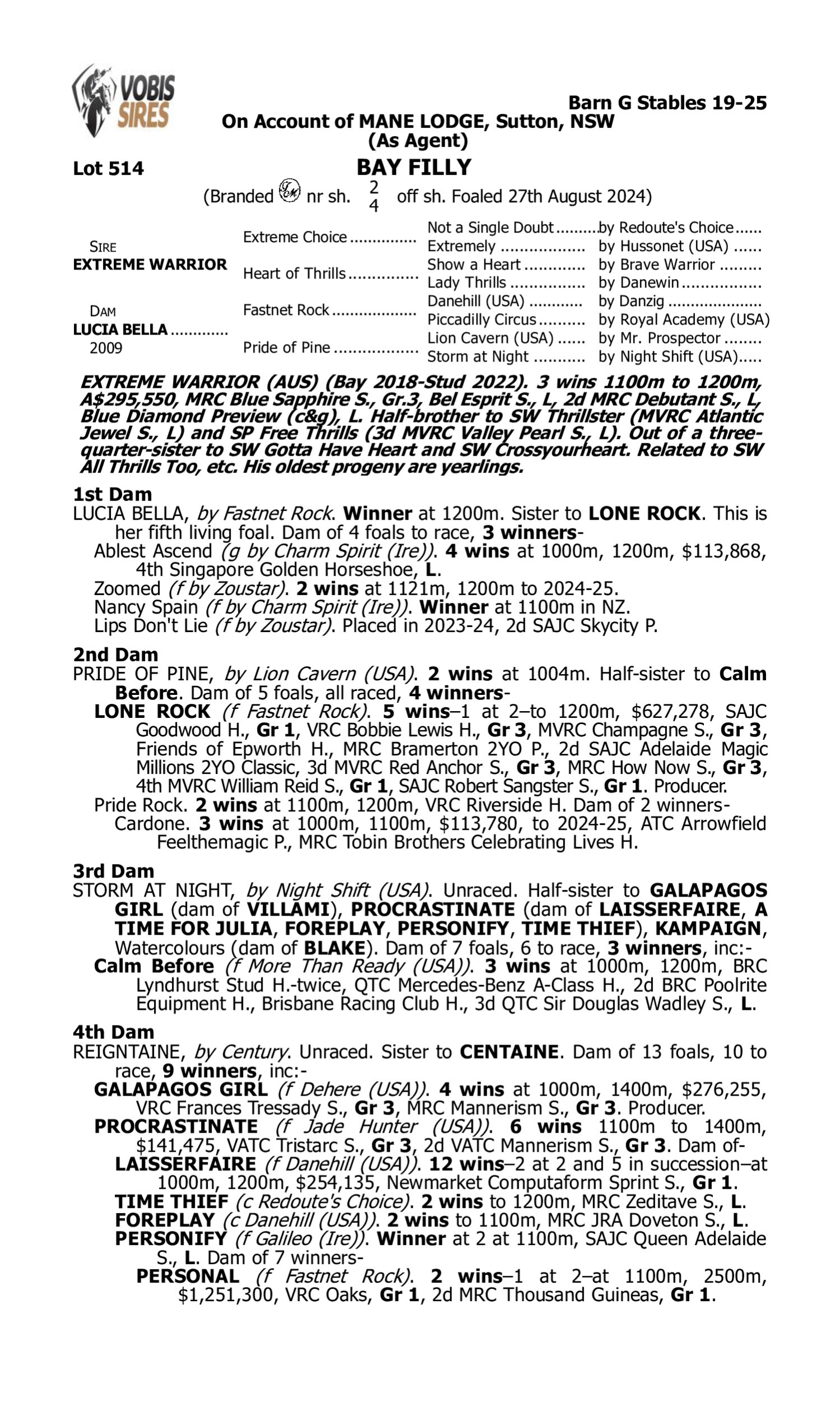 Pedigree for Lot 514 Extreme Warrior - Lucia Bella