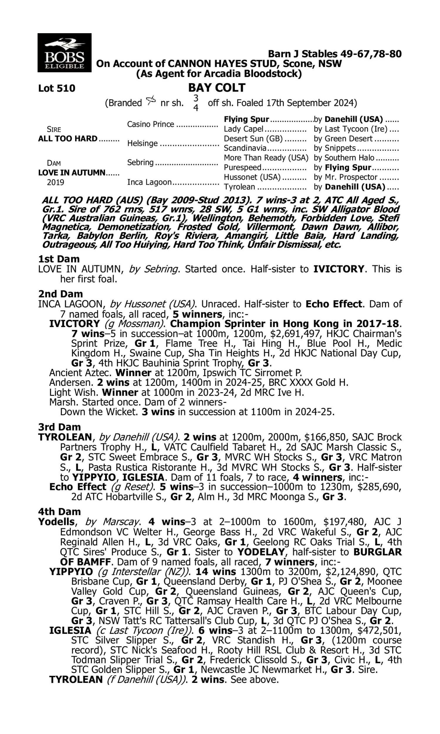 Pedigree for Lot 510 All Too Hard - Love in Autumn