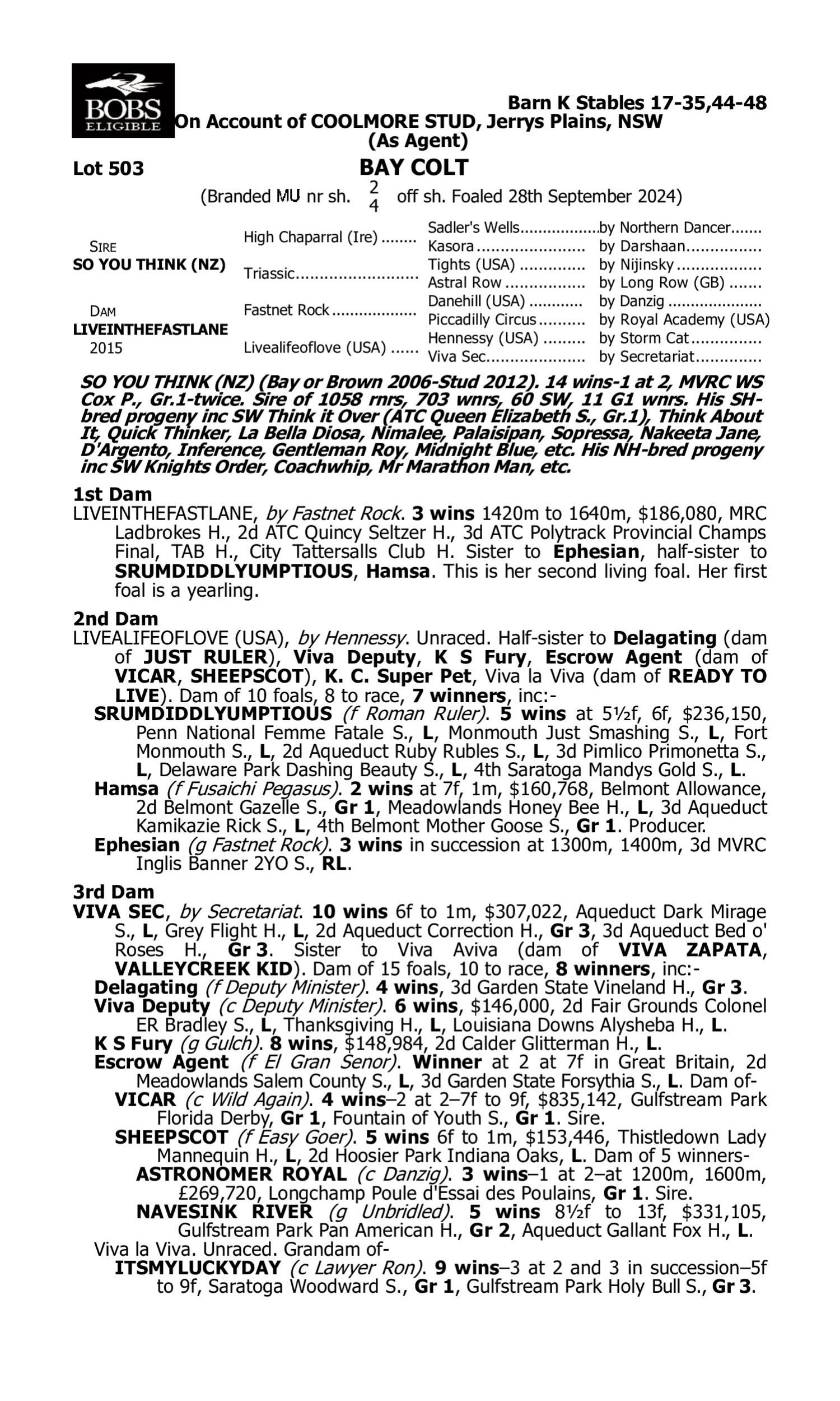 Pedigree for Lot 503 So You Think (NZ) - Liveinthefastlane