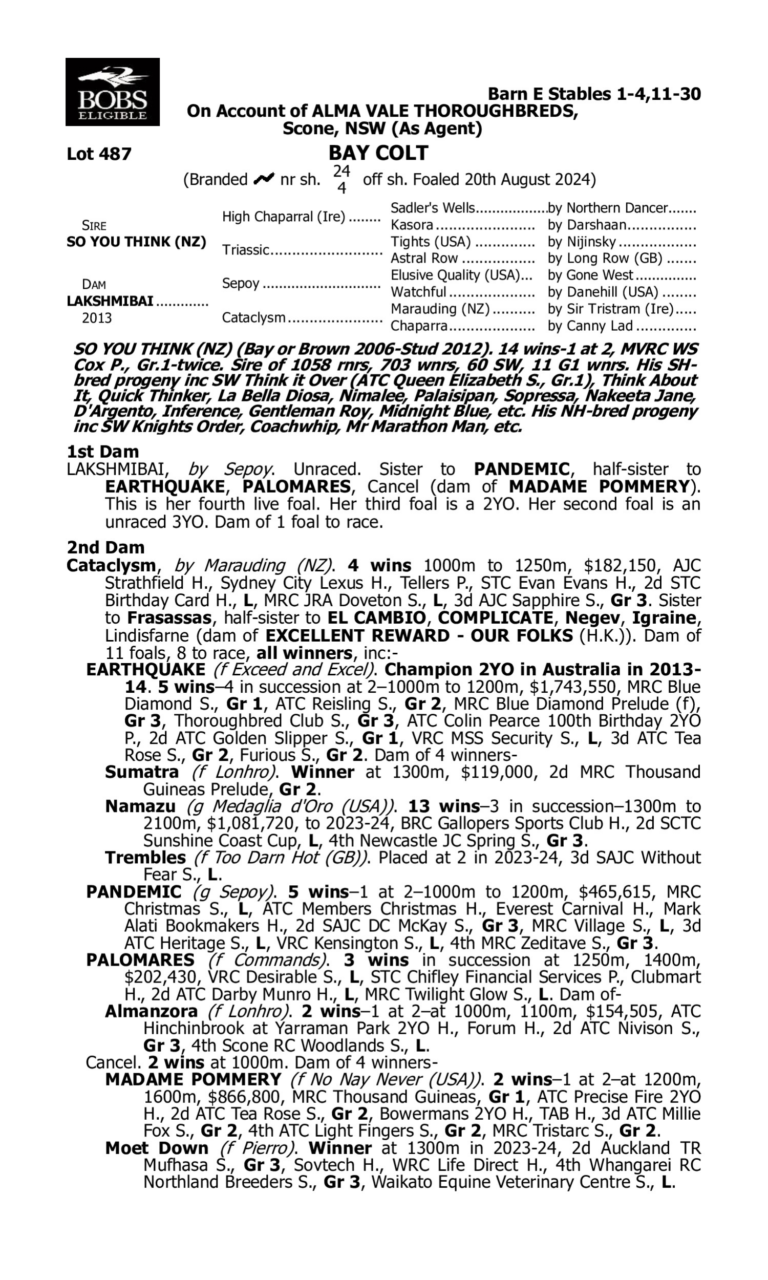 Pedigree for Lot 487 So You Think (NZ) - Lakshmibai