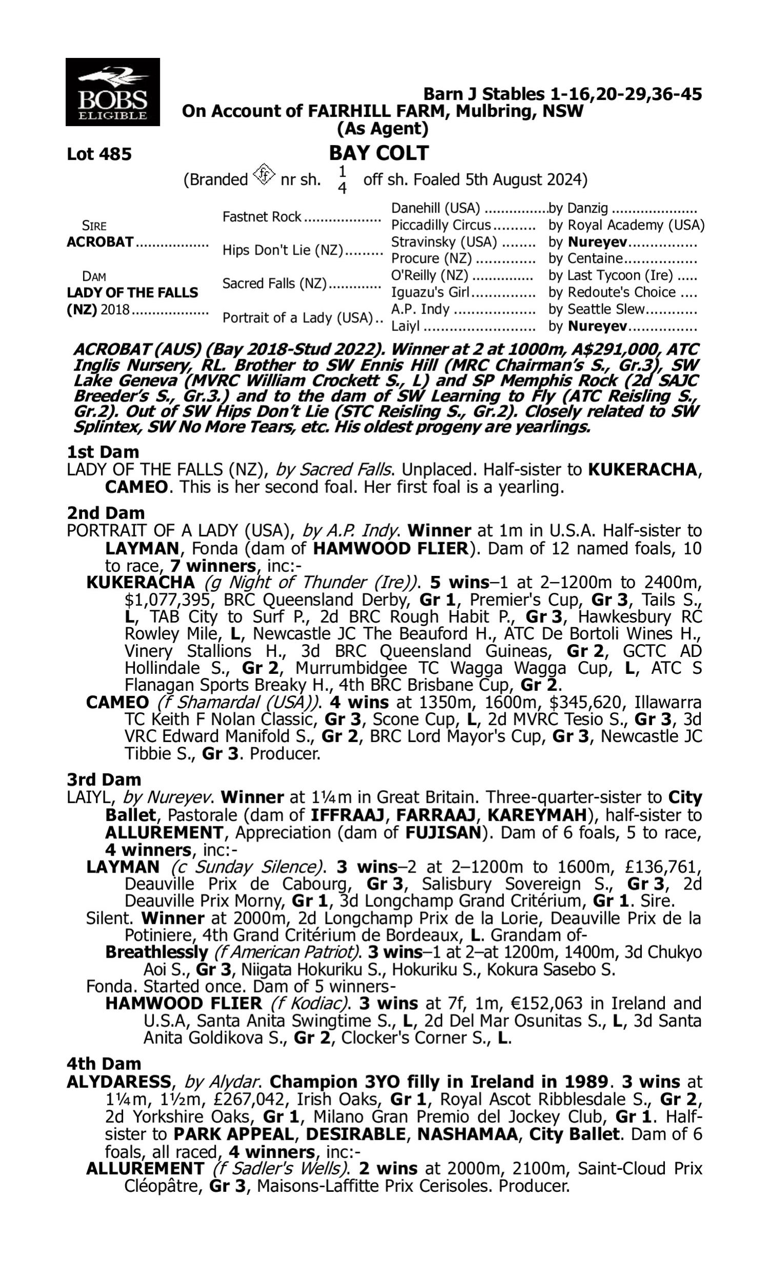Pedigree for Lot 485 Acrobat - Lady of the Falls (NZ)