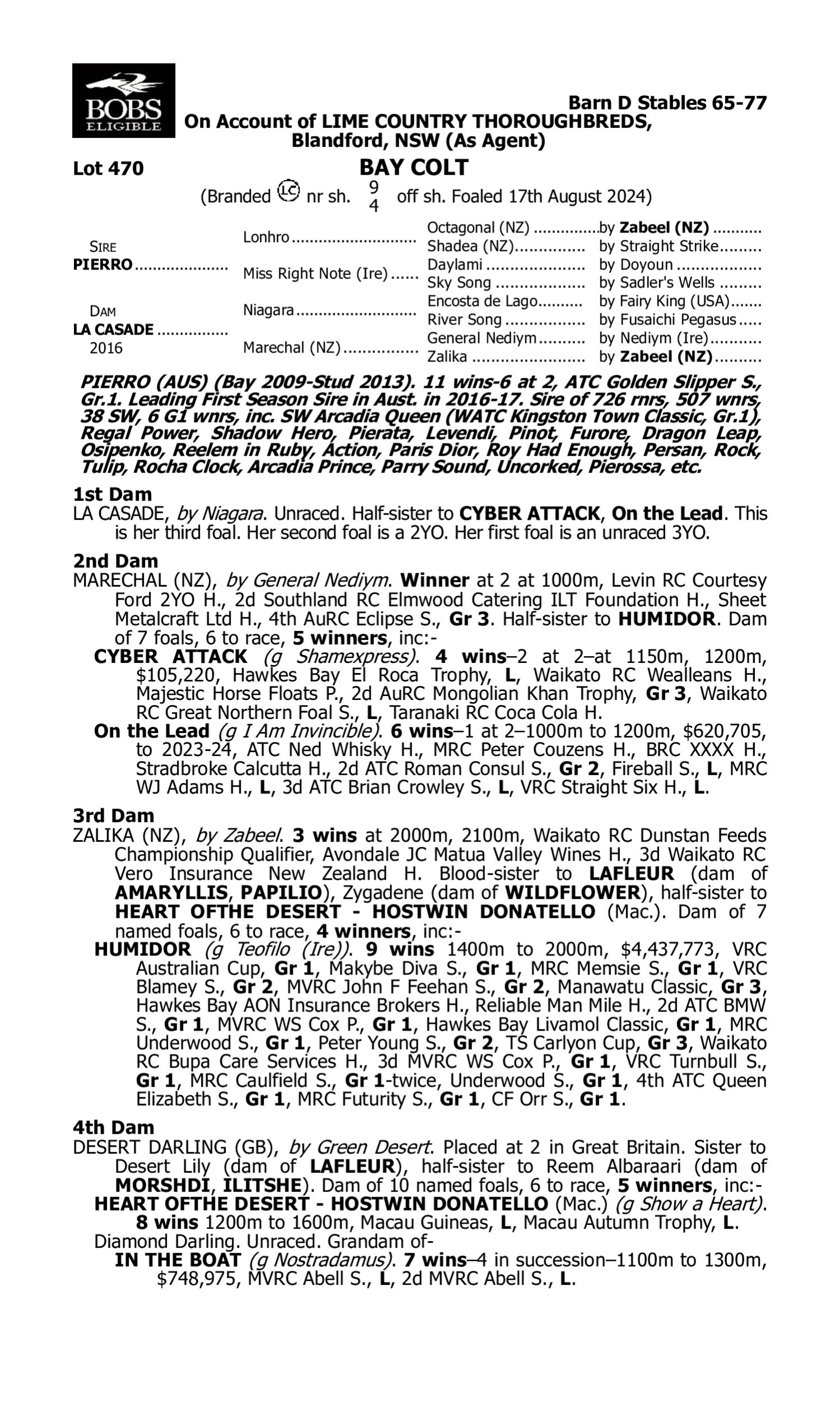 Pedigree for Lot 470 Pierro - La Casade