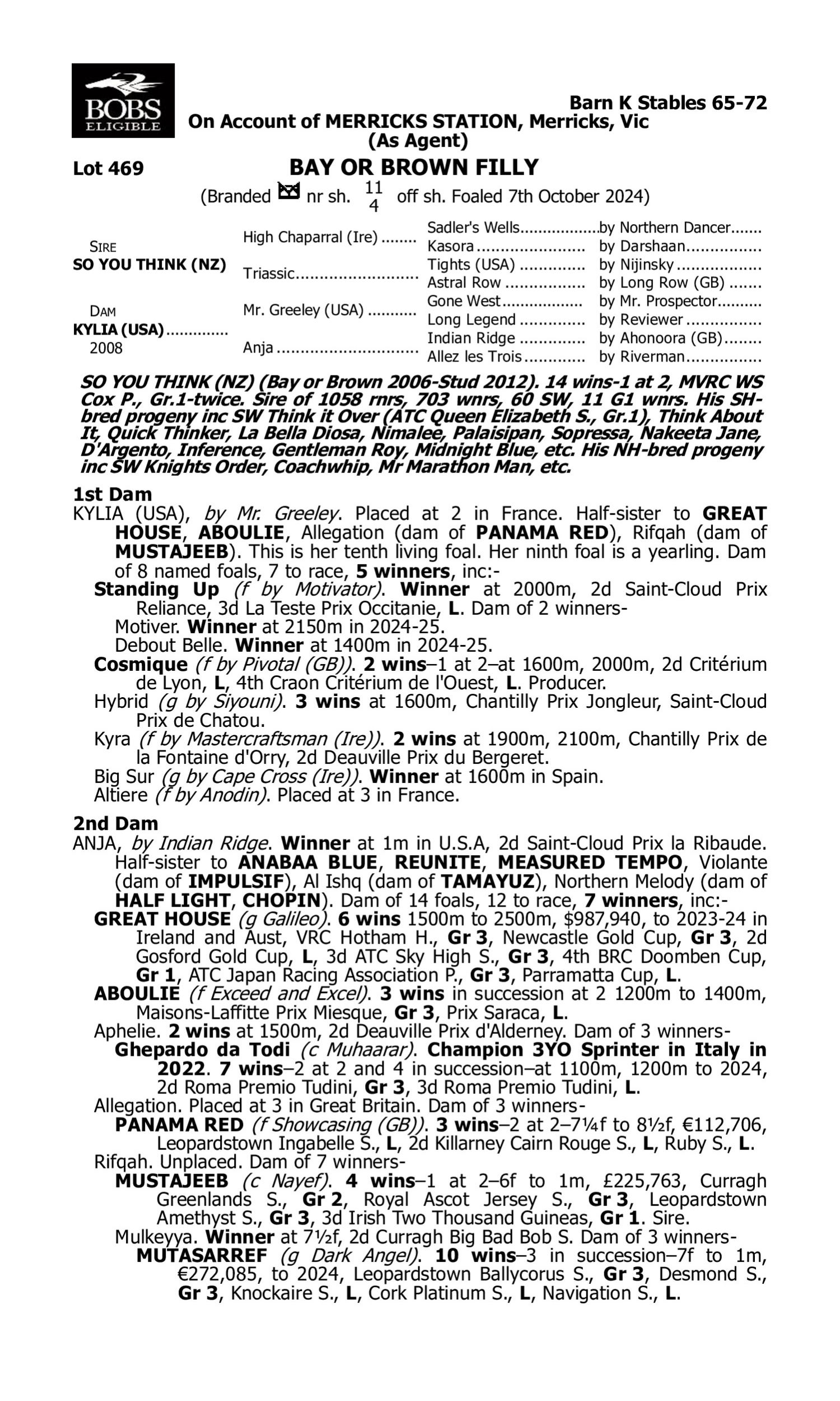 Pedigree for Lot 469 So You Think (NZ) - Kylia (USA)