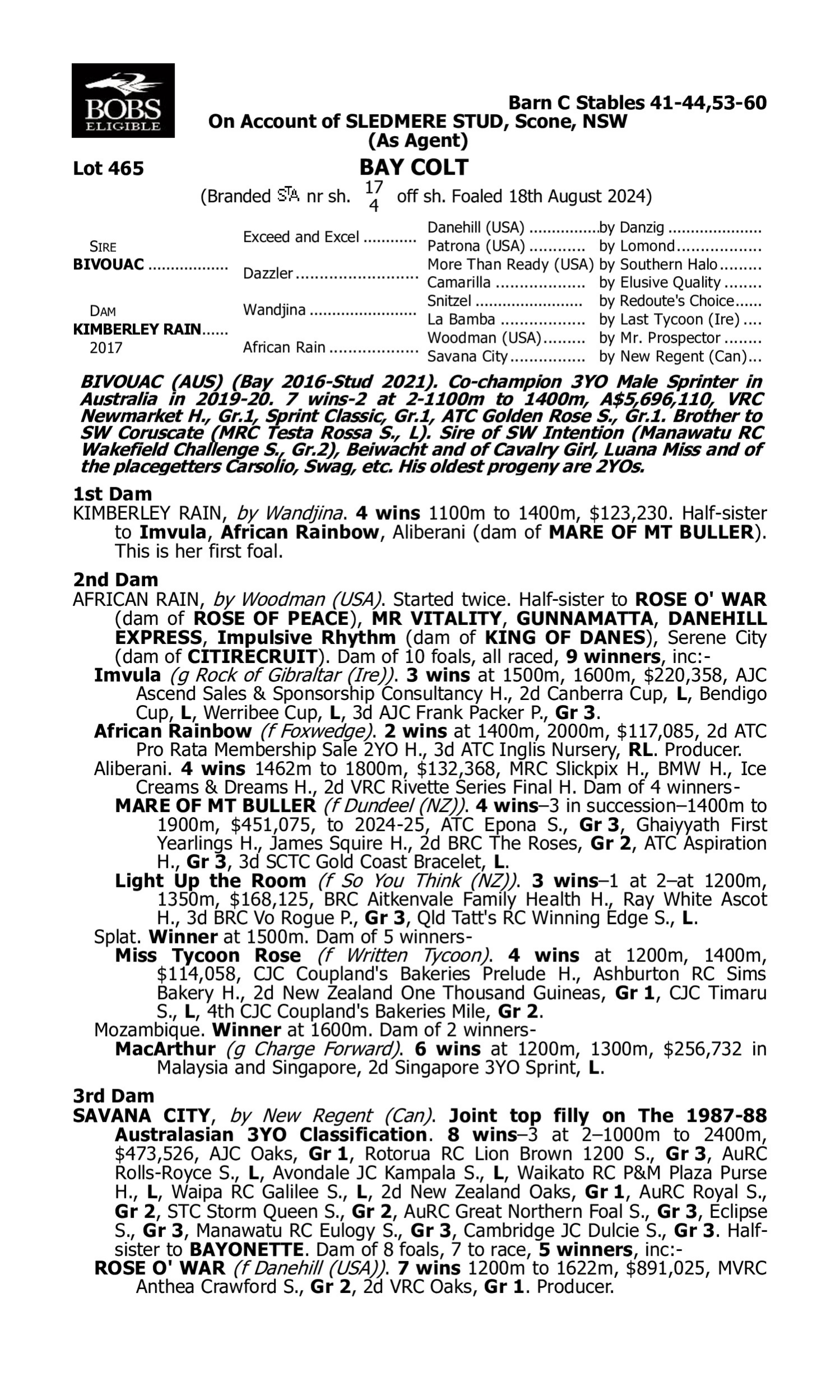 Pedigree for Lot 465 Bivouac - Kimberley Rain