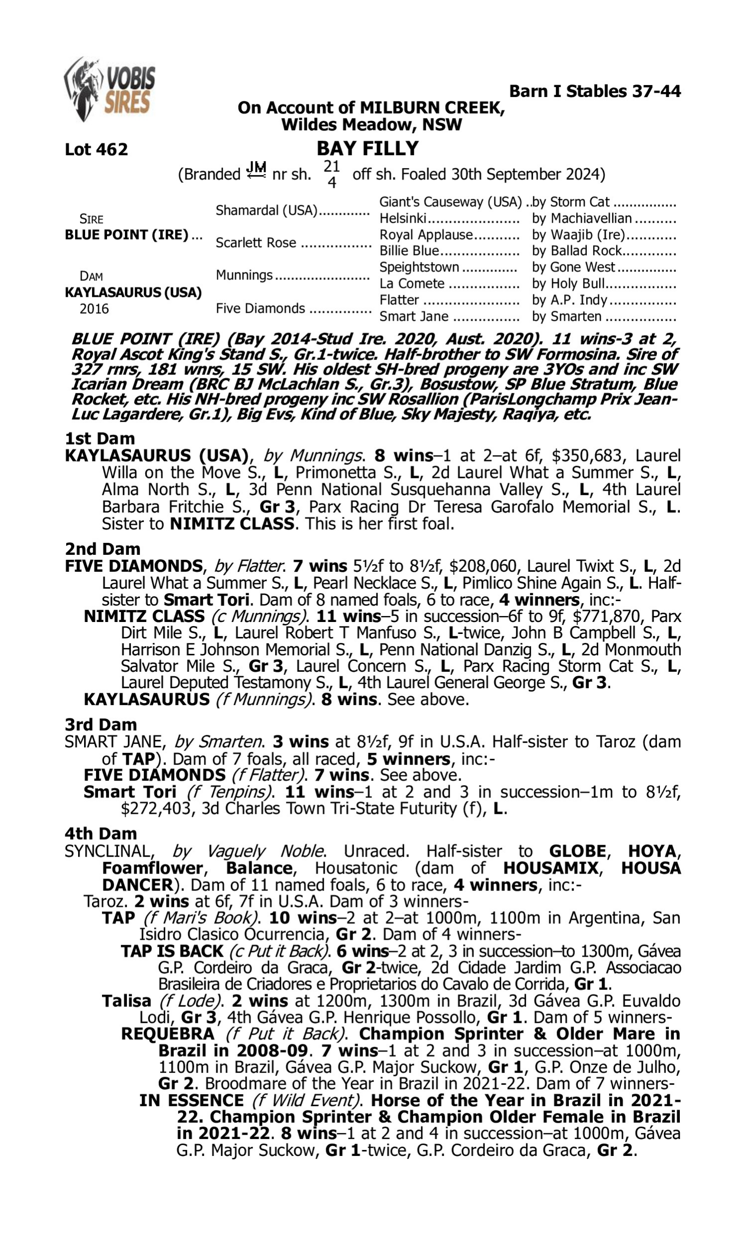 Pedigree for Lot 462 Blue Point (IRE) - Kaylasaurus (USA)