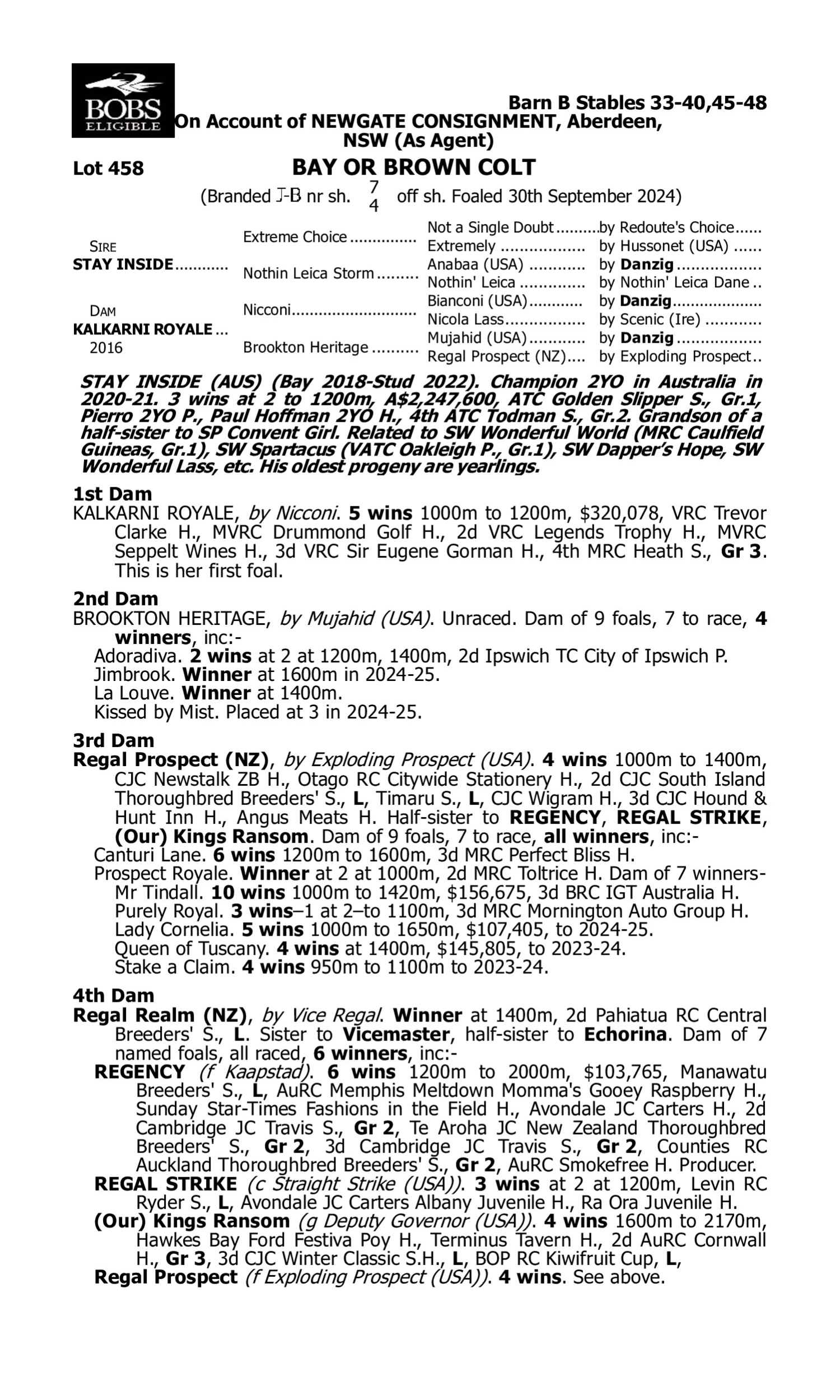 Pedigree for Lot 458 Stay Inside - Kalkarni Royale
