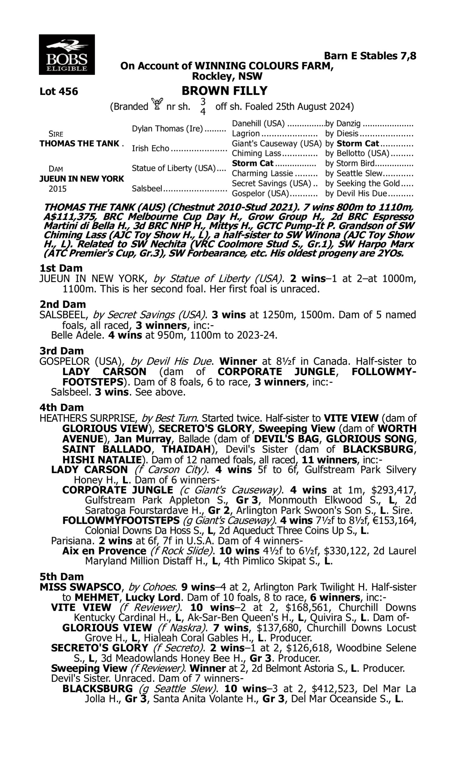 Pedigree for Lot 456 Thomas the Tank - Jueun in New York