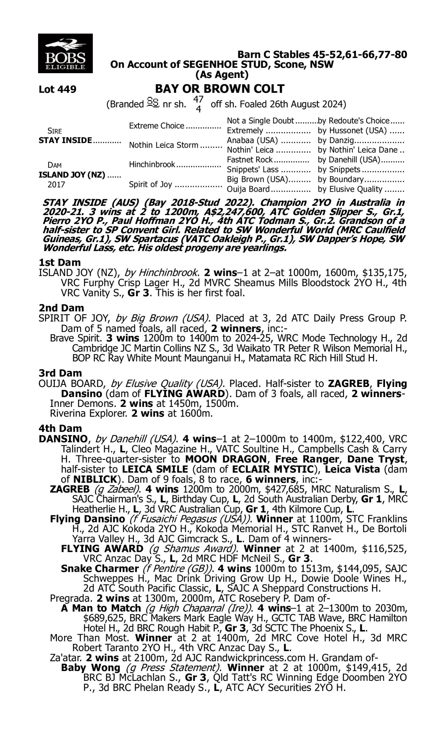 Pedigree for Lot 449 Stay Inside - Island Joy (NZ)