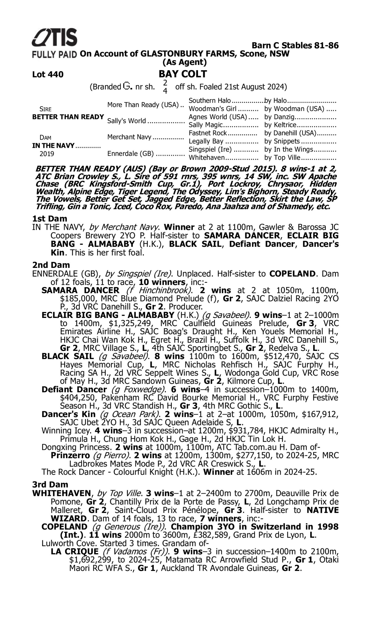 Pedigree for Lot 440 Better Than Ready - In the Navy