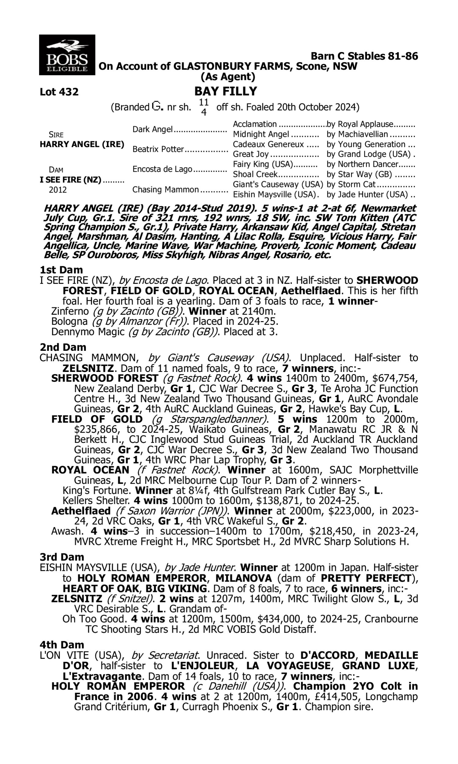 Pedigree for Lot 432 Harry Angel (IRE) - I See Fire (NZ)