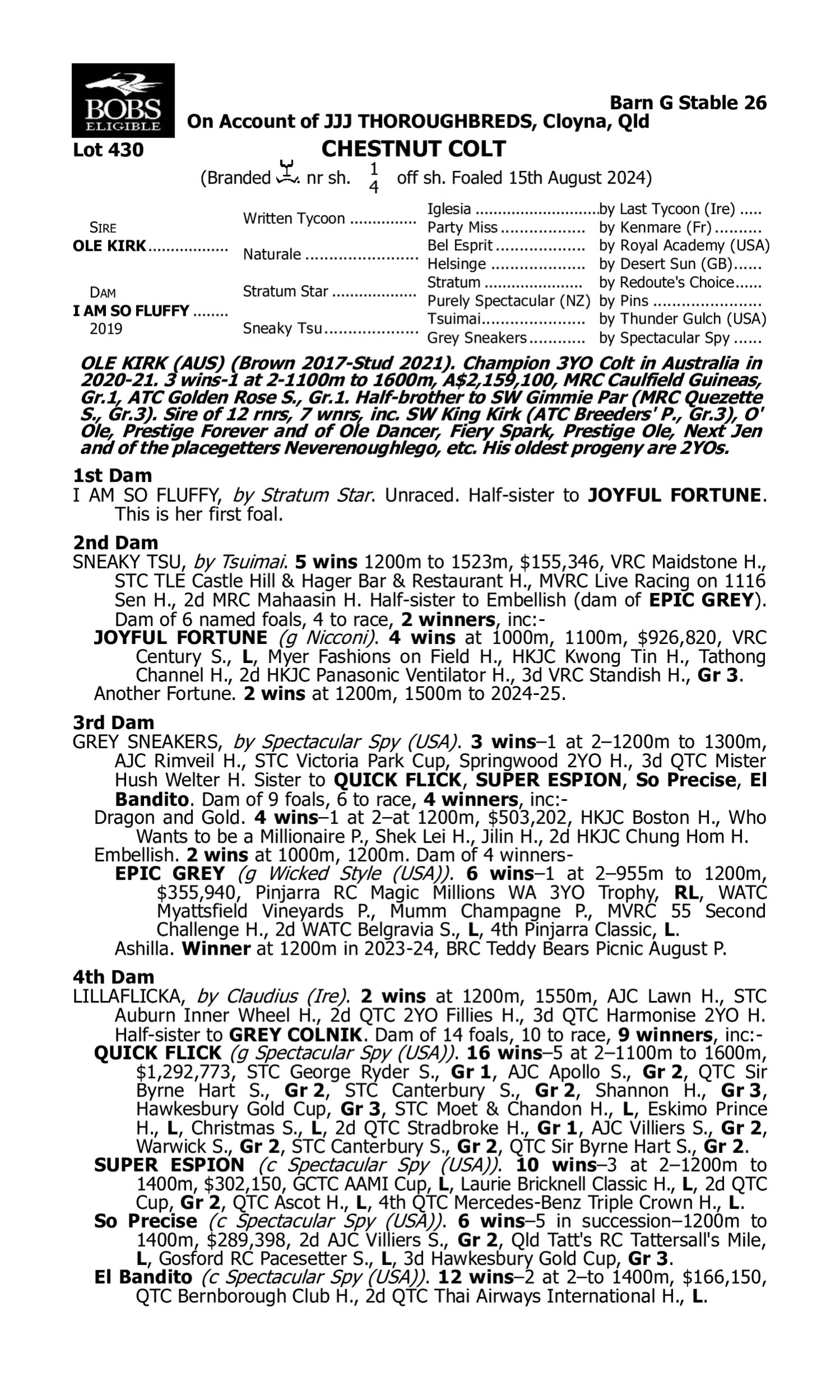 Pedigree for Lot 430 Ole Kirk - I Am So Fluffy