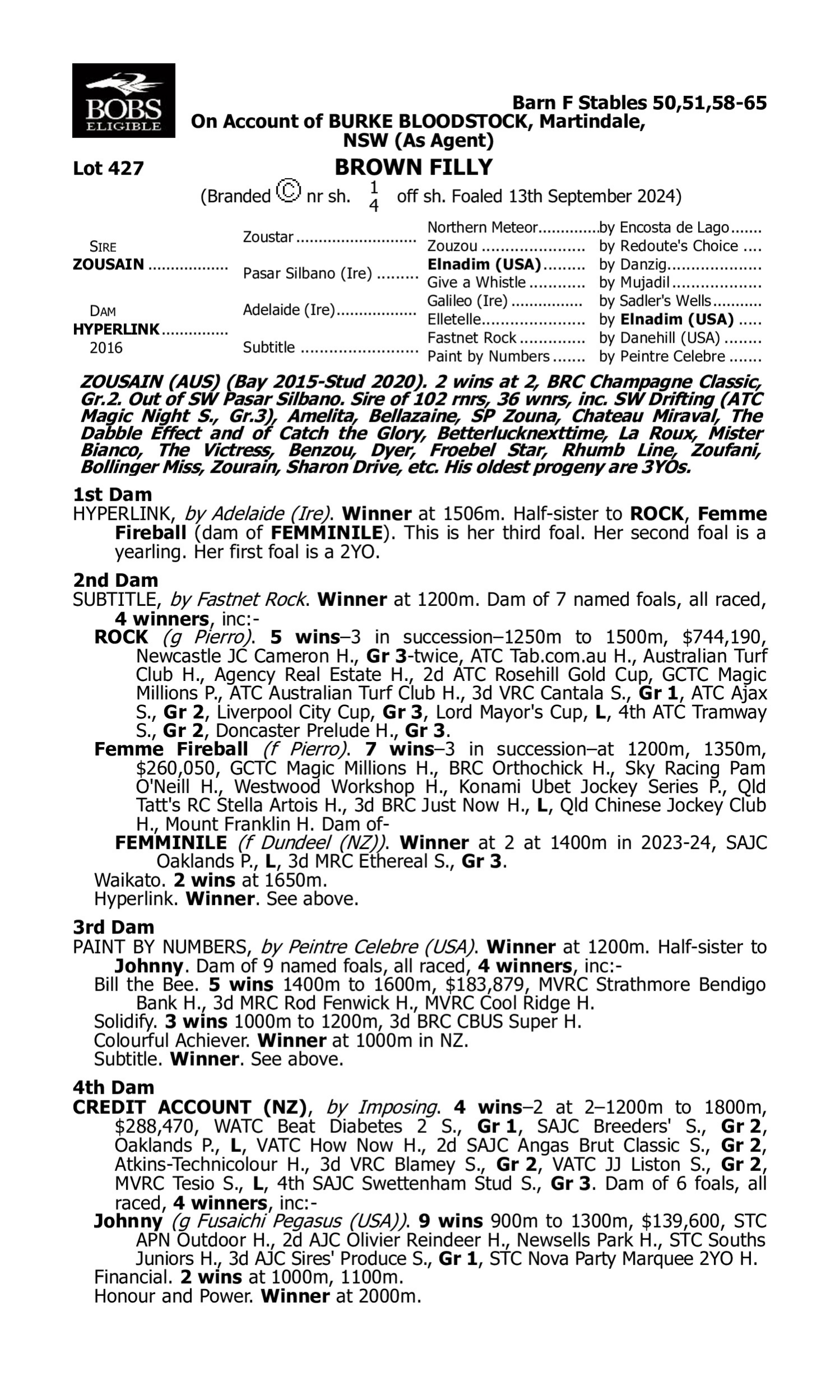 Pedigree for Lot 427 Zousain - Hyperlink