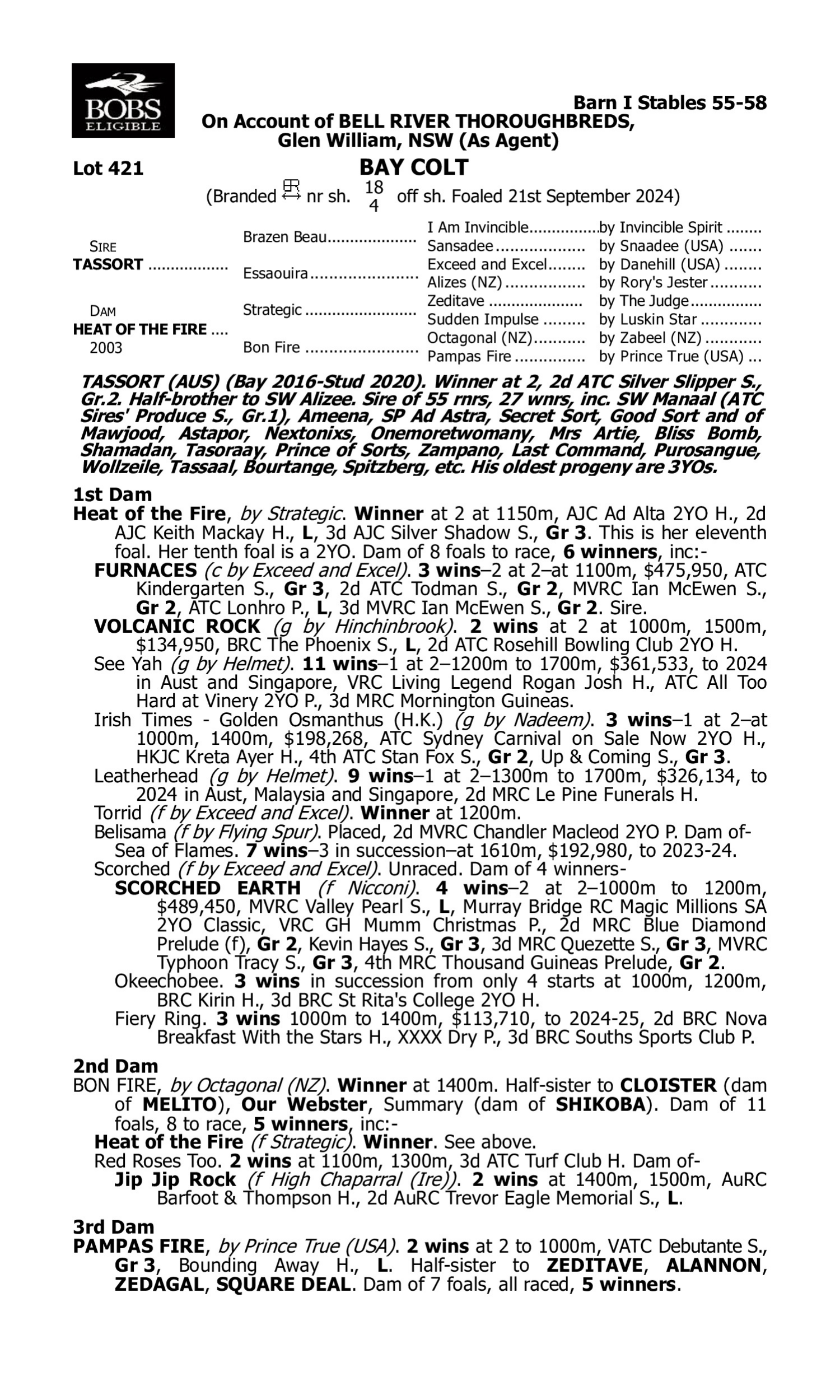 Pedigree for Lot 421 Tassort - Heat of the Fire