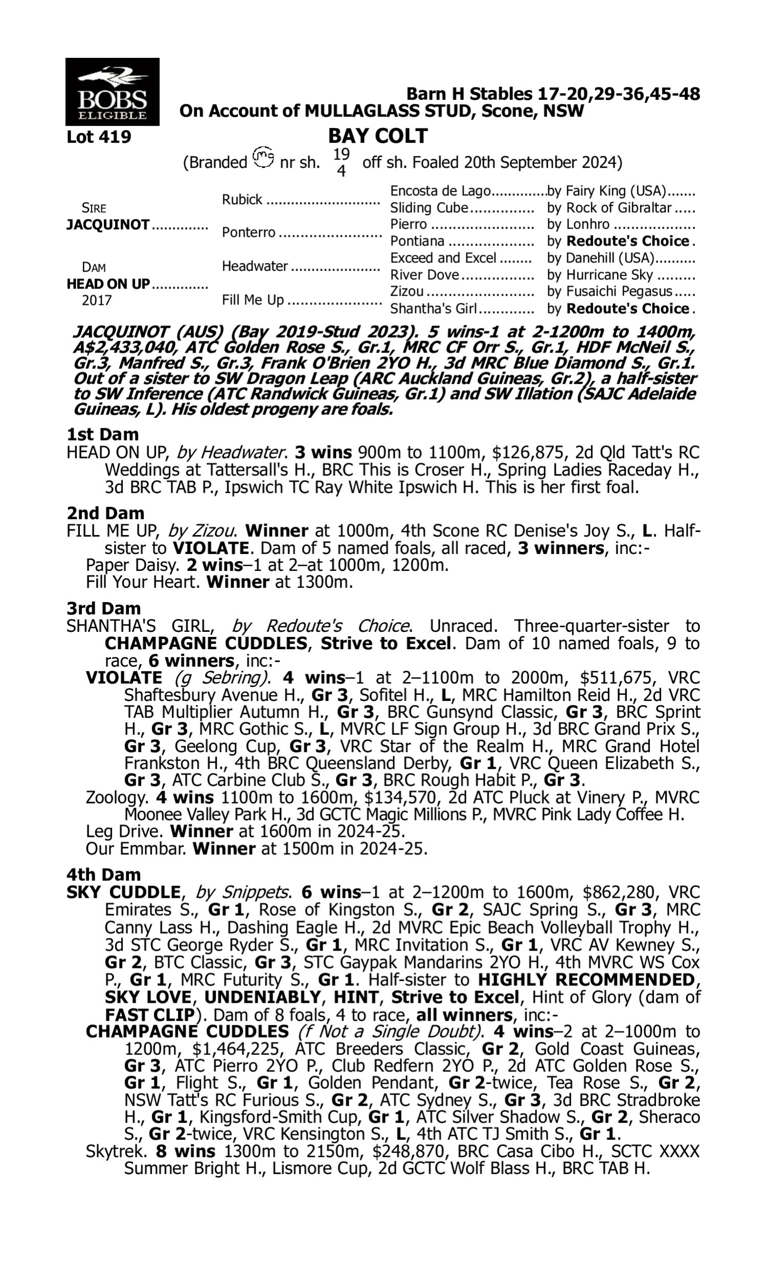 Pedigree for Lot 419 Jacquinot - Head on Up