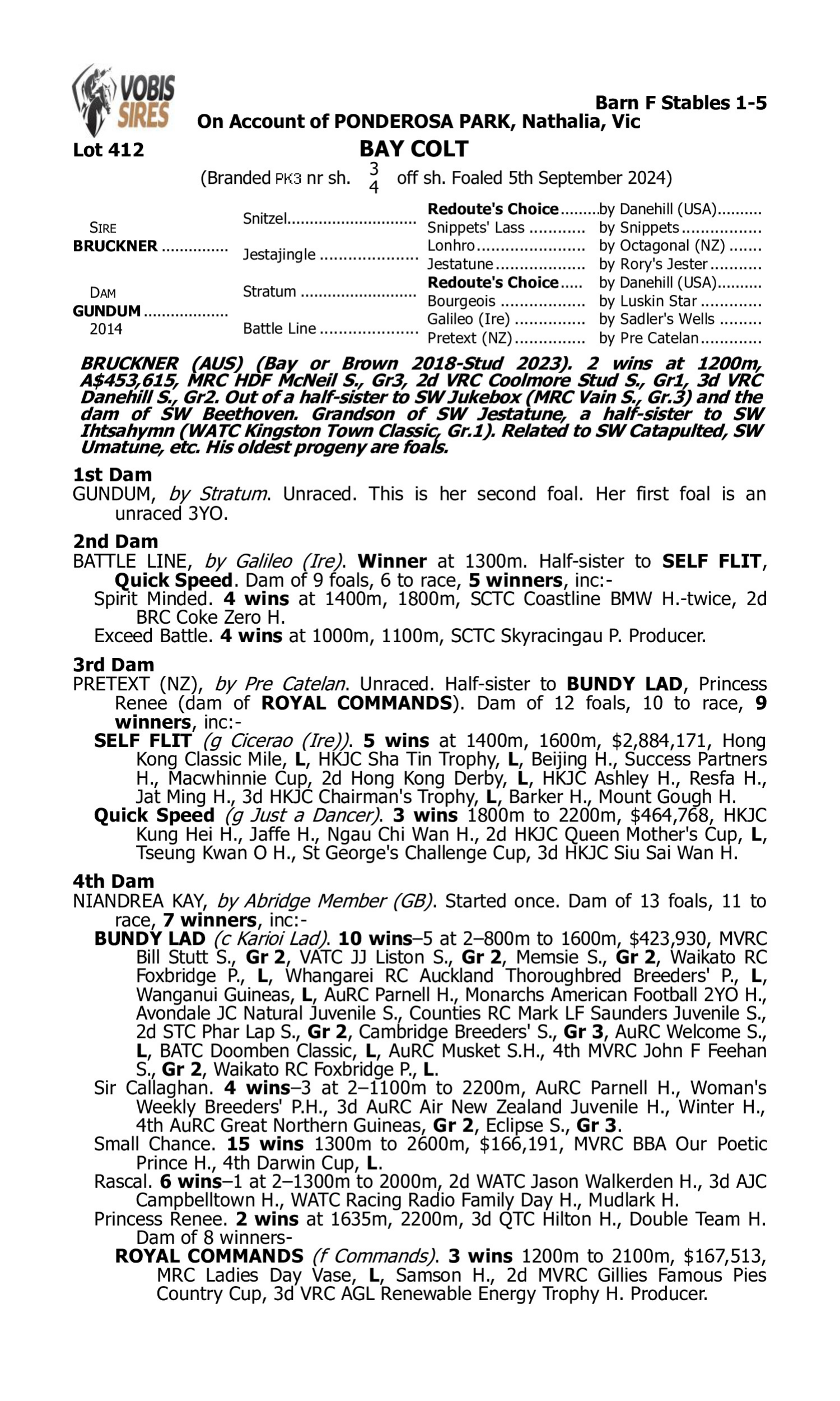 Pedigree for Lot 412 Bruckner - Gundum
