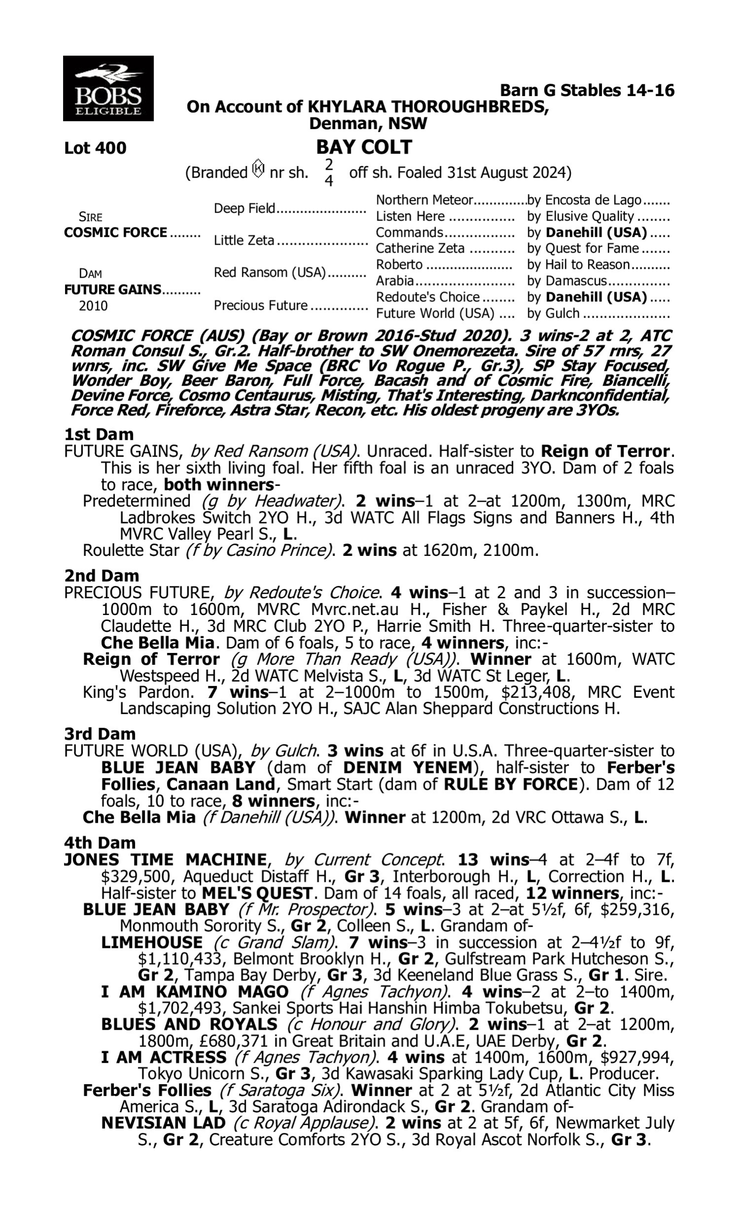 Pedigree for Lot 400 Cosmic Force - Future Gains