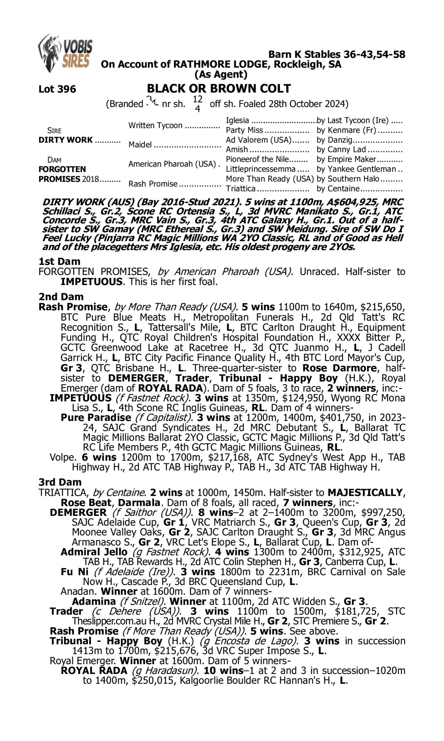 Pedigree for Lot 396 Dirty Work - Forgotten Promises