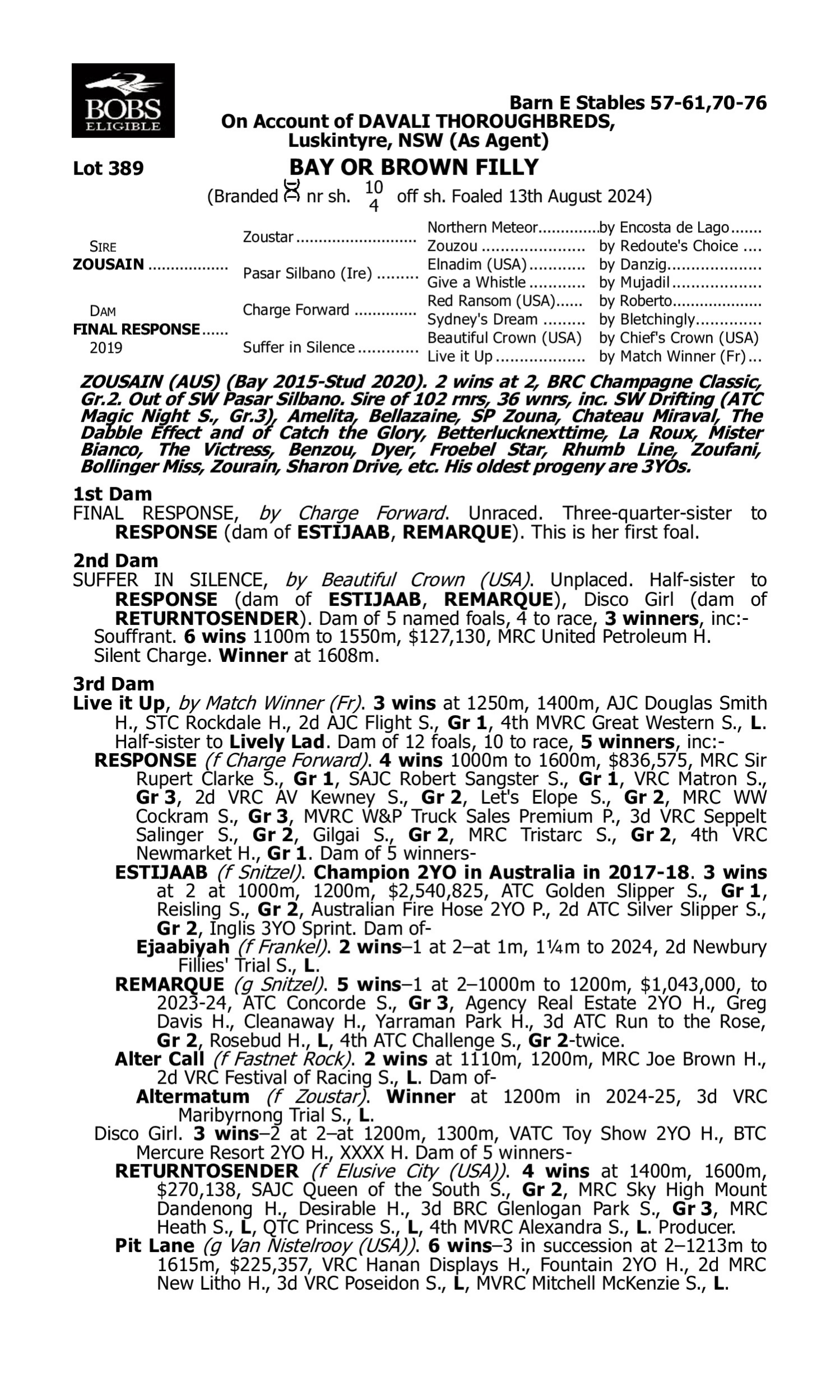 Pedigree for Lot 389 Zousain - Final Response