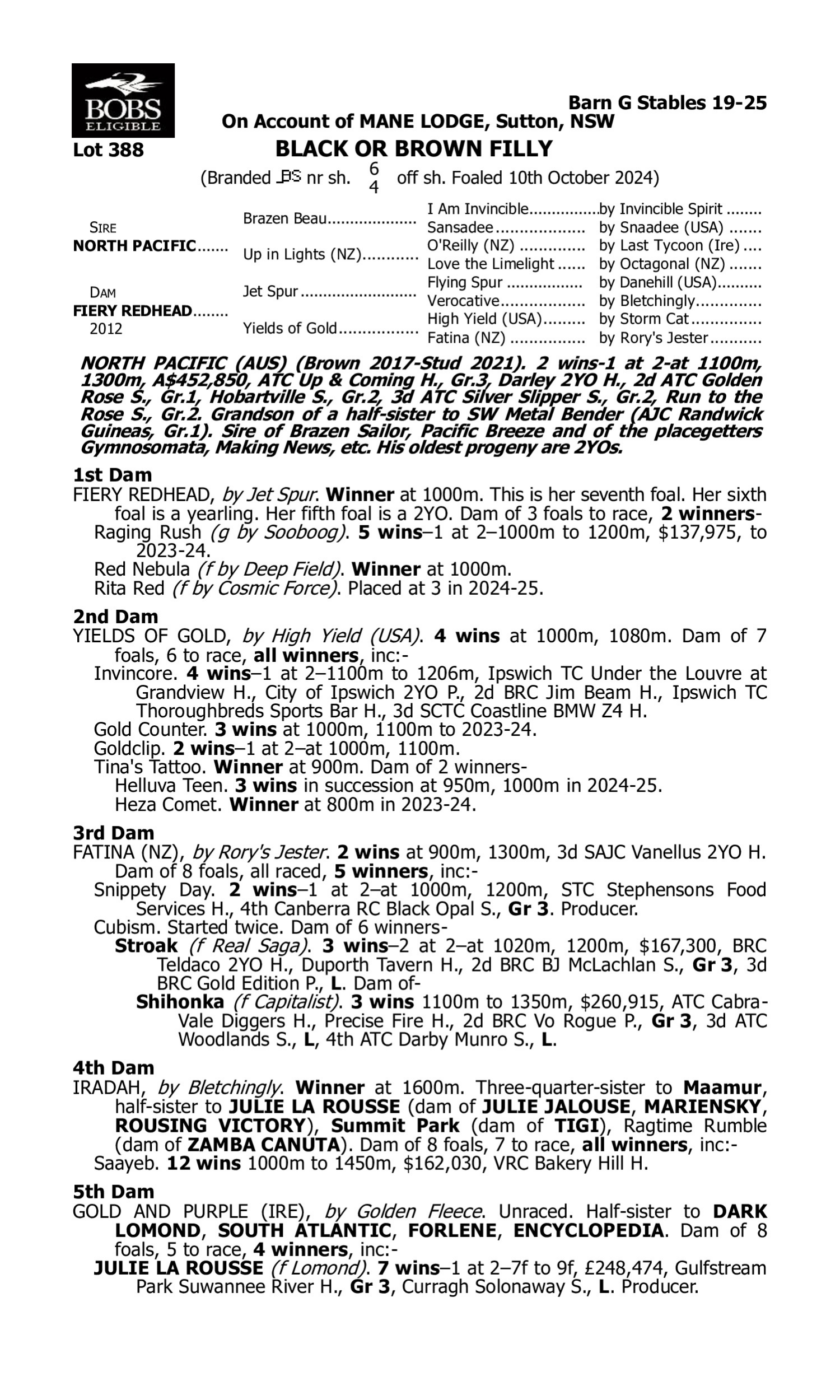 Pedigree for Lot 388 North Pacific - Fiery Redhead