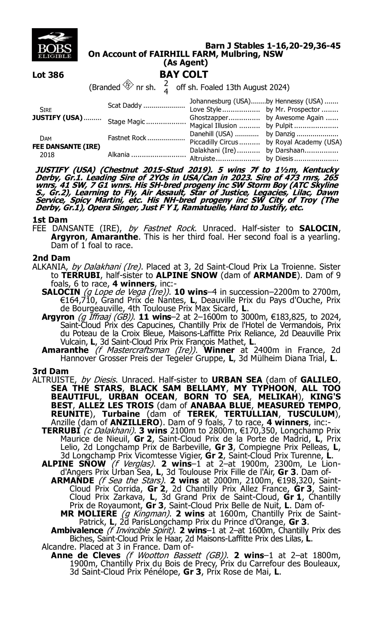 Pedigree for Lot 386 Justify (USA) - Fee Dansante (IRE)