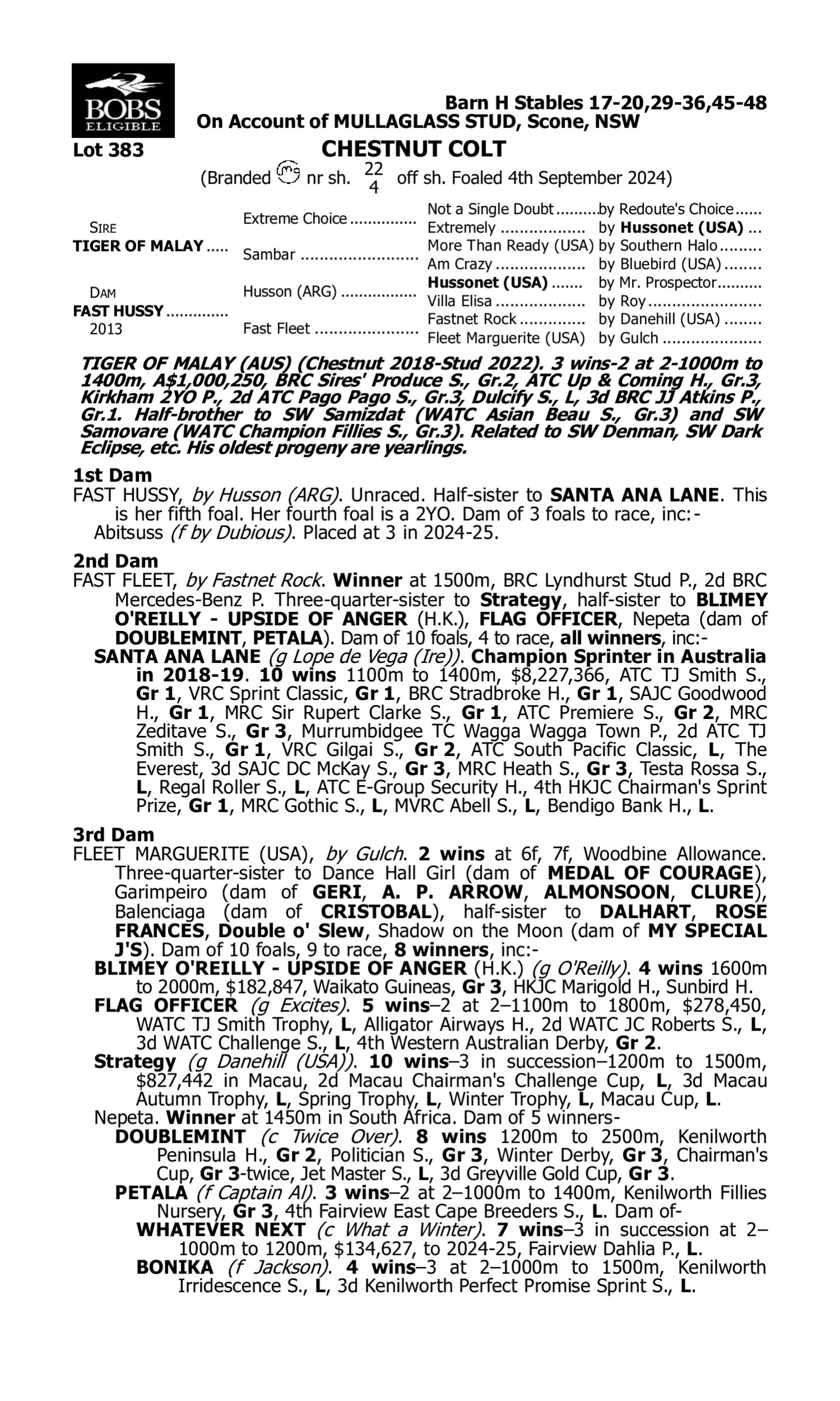 Pedigree for Lot 383 Tiger of Malay - Fast Hussy