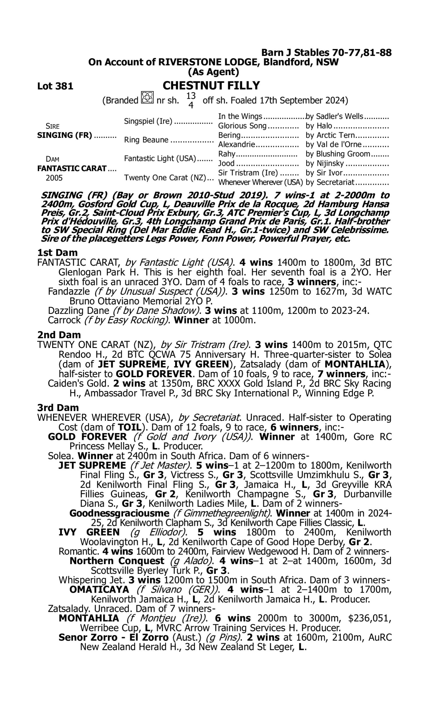 Pedigree for Lot 381 Singing (FR) - Fantastic Carat