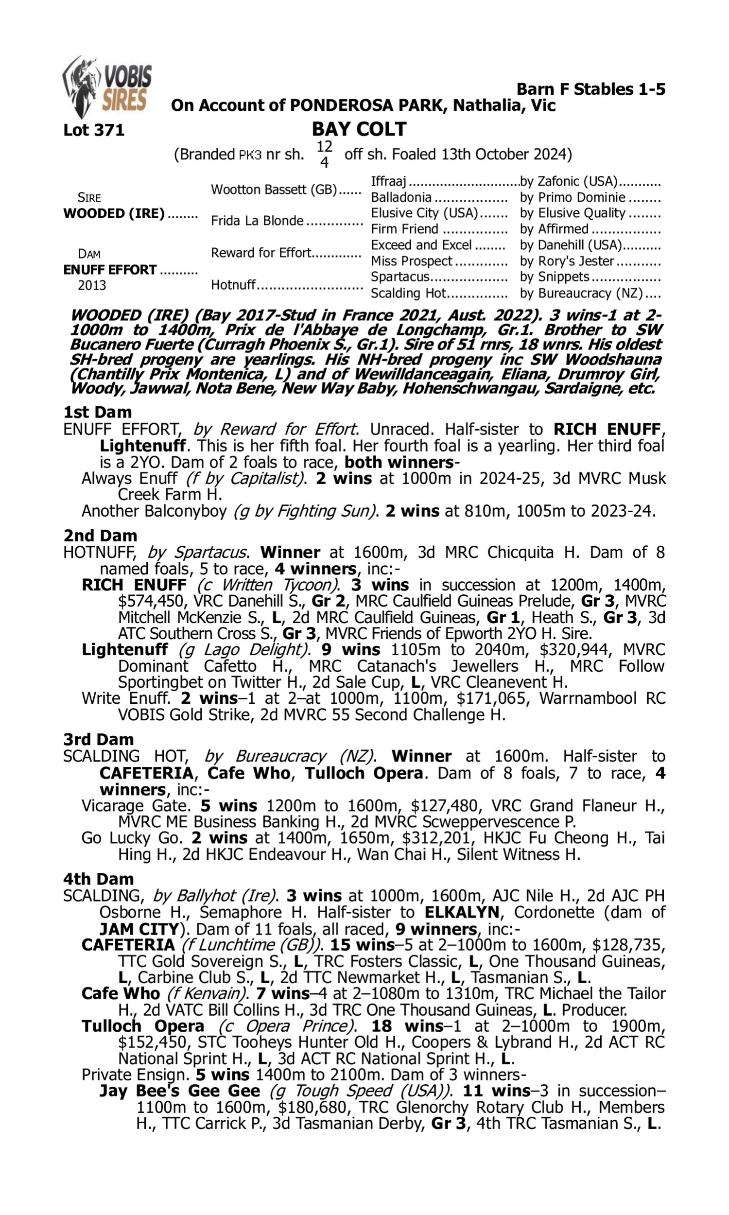 Pedigree for Lot 371 Wooded (IRE) - Enuff Effort