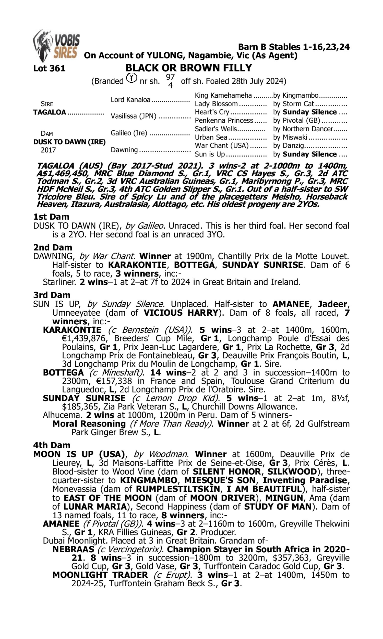 Pedigree for Lot 361 Tagaloa - Dusk to Dawn (IRE)