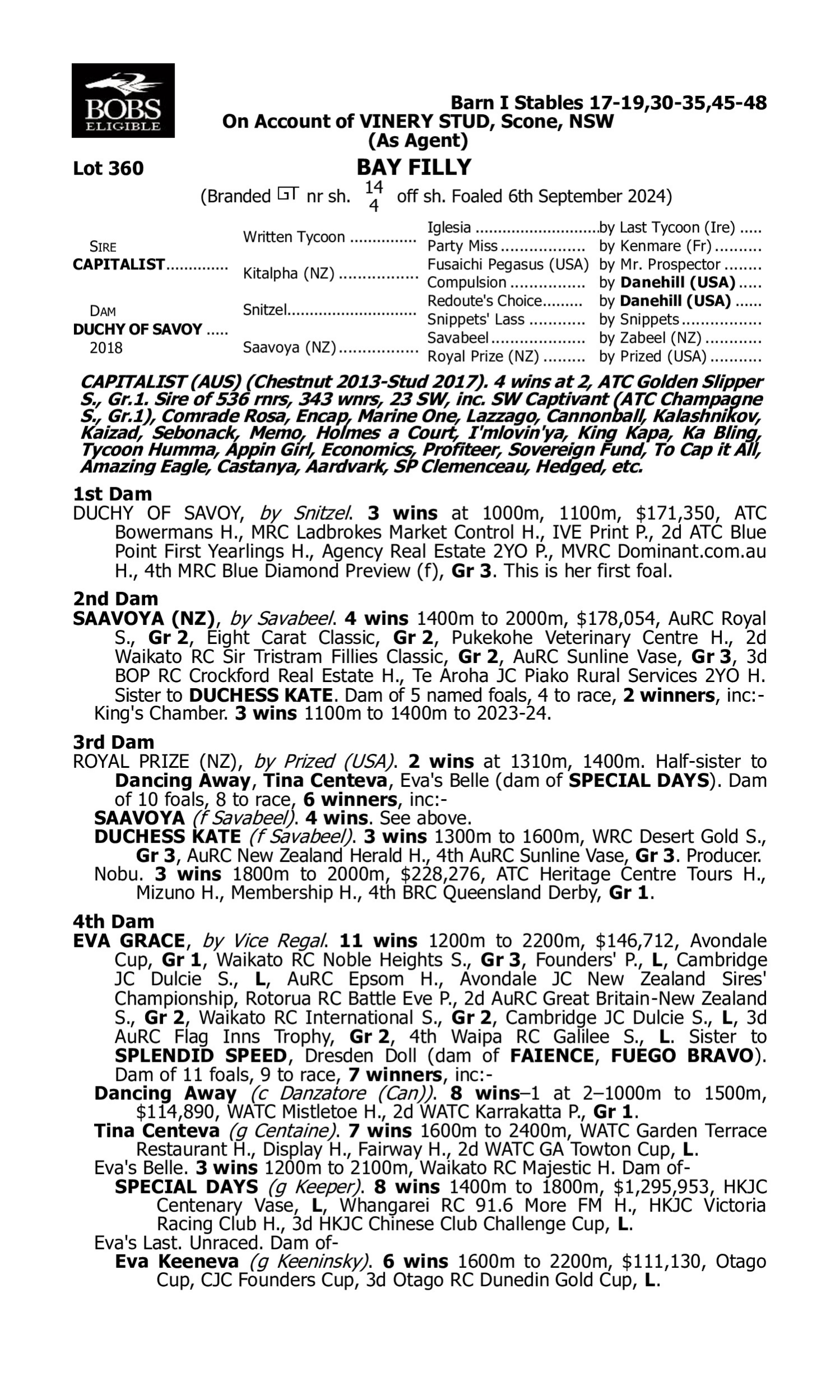 Pedigree for Lot 360 Capitalist - Duchy of Savoy