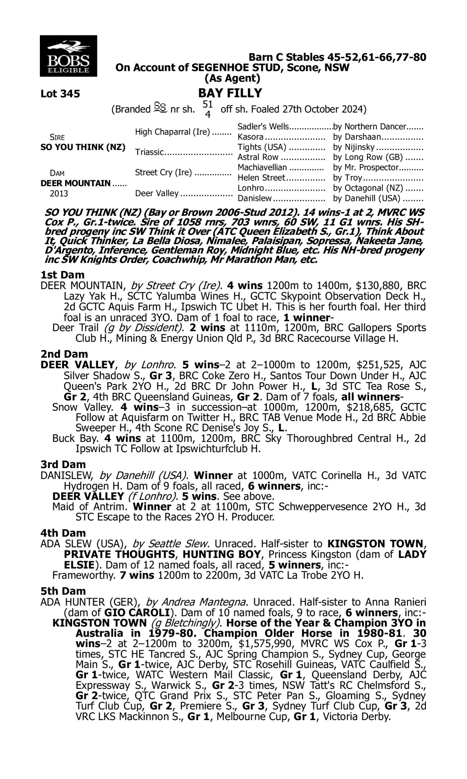 Pedigree for Lot 345 So You Think (NZ) - Deer Mountain