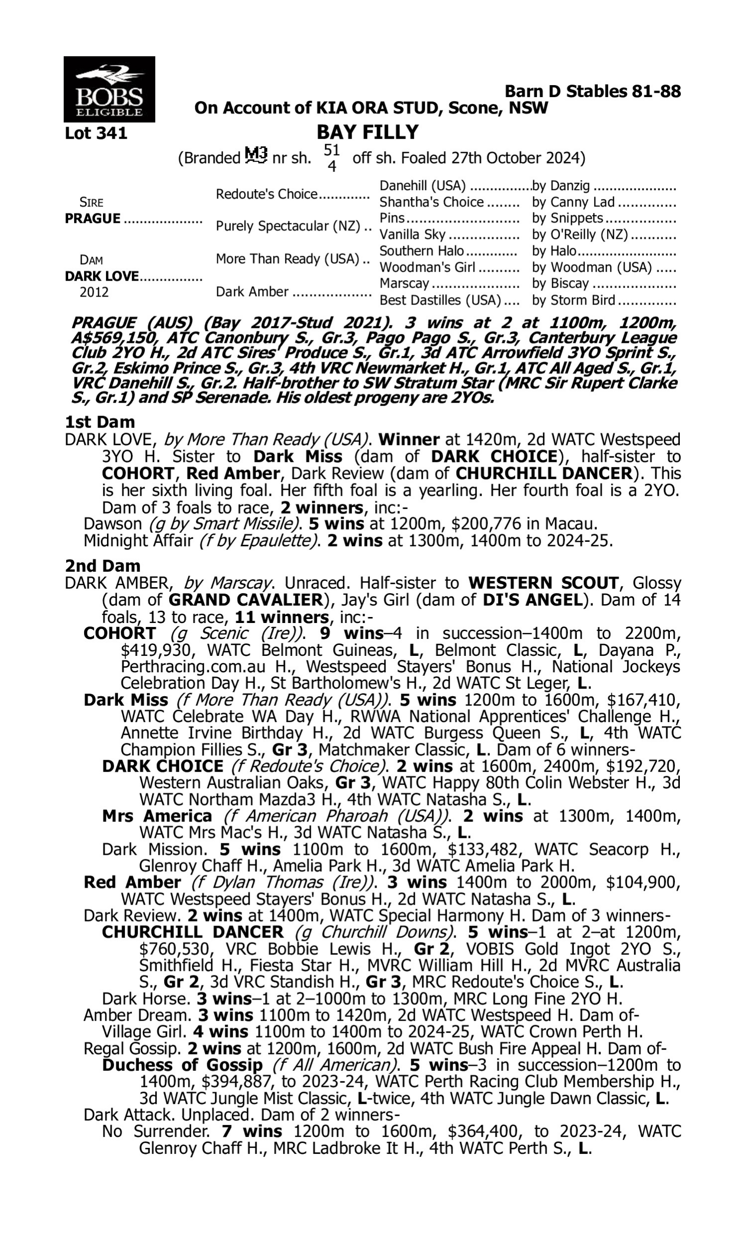 Pedigree for Lot 341 Prague - Dark Love