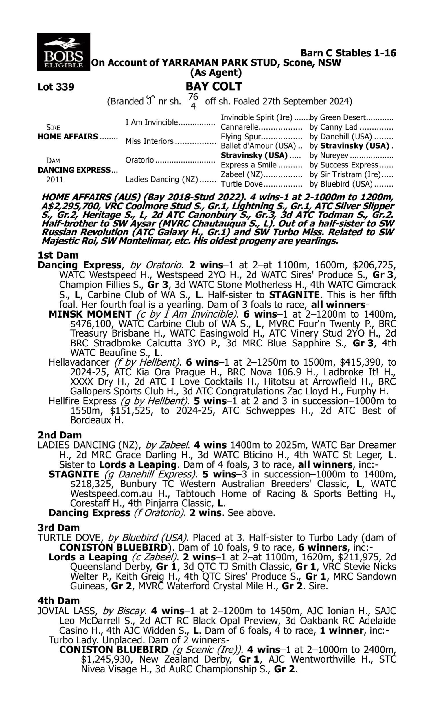 Pedigree for Lot 339 Home Affairs - Dancing Express