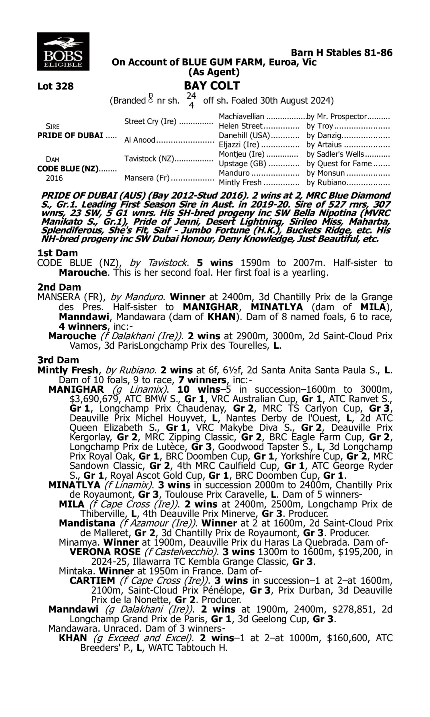 Pedigree for Lot 328 Pride of Dubai - Code Blue (NZ)