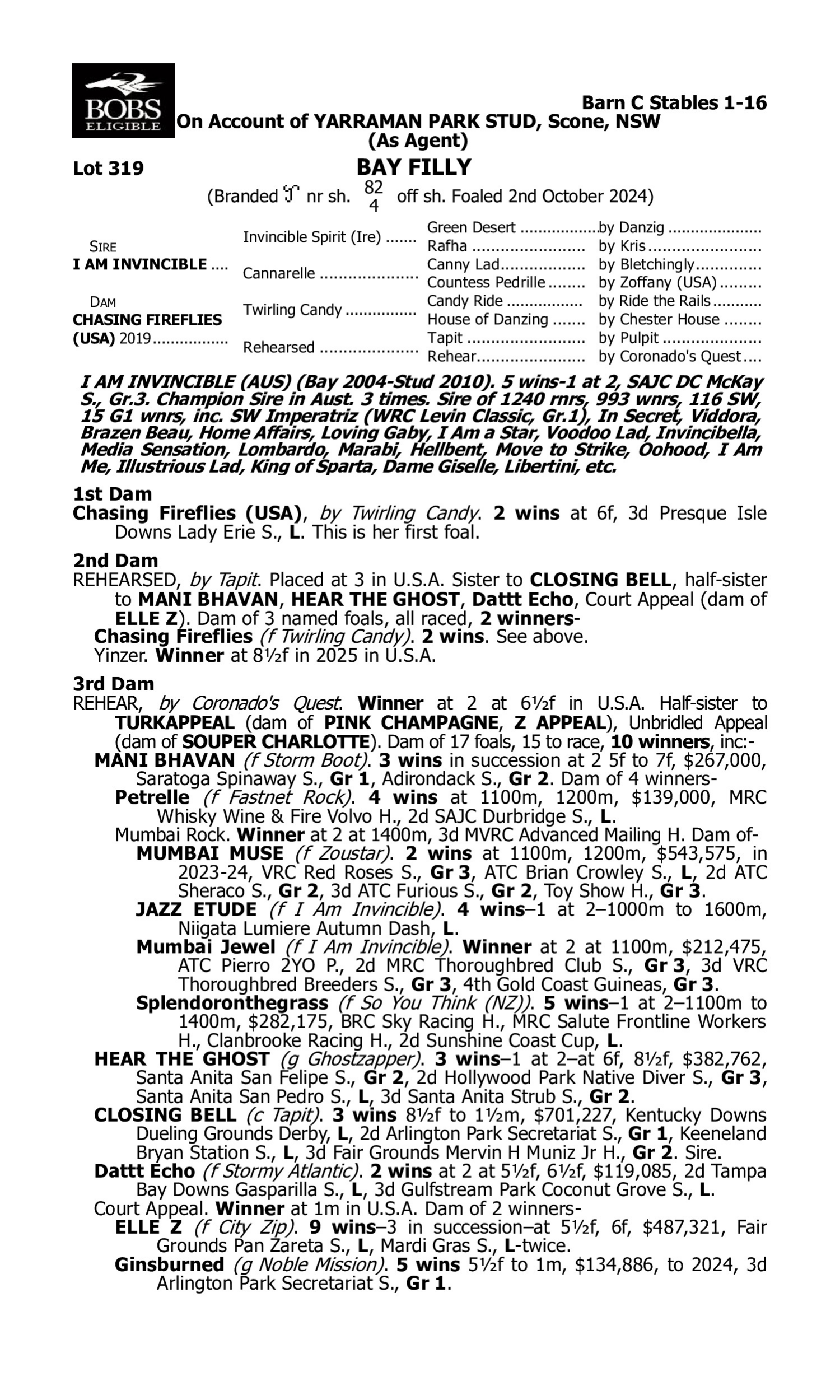 Pedigree for Lot 319 I Am Invincible - Chasing Fireflies (USA)