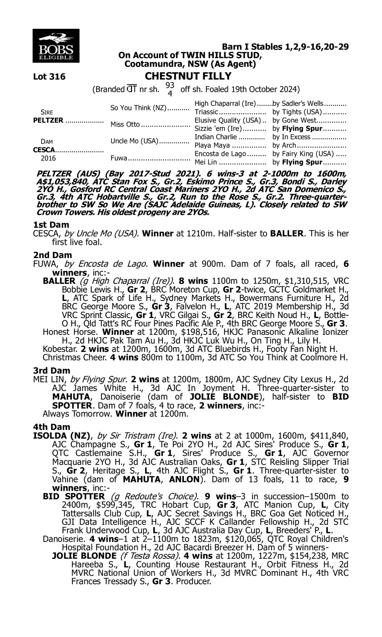 Pedigree for Lot 316 Peltzer - Cesca