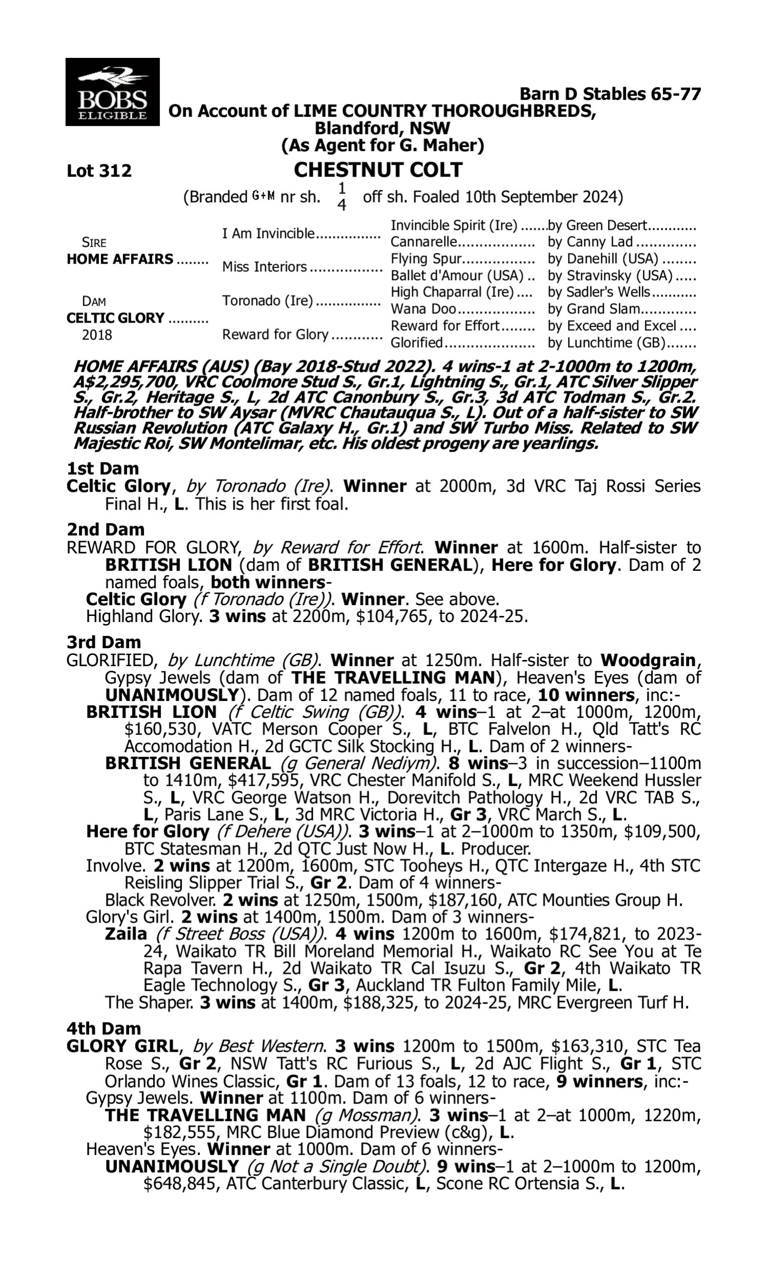 Pedigree for Lot 312 Home Affairs - Celtic Glory