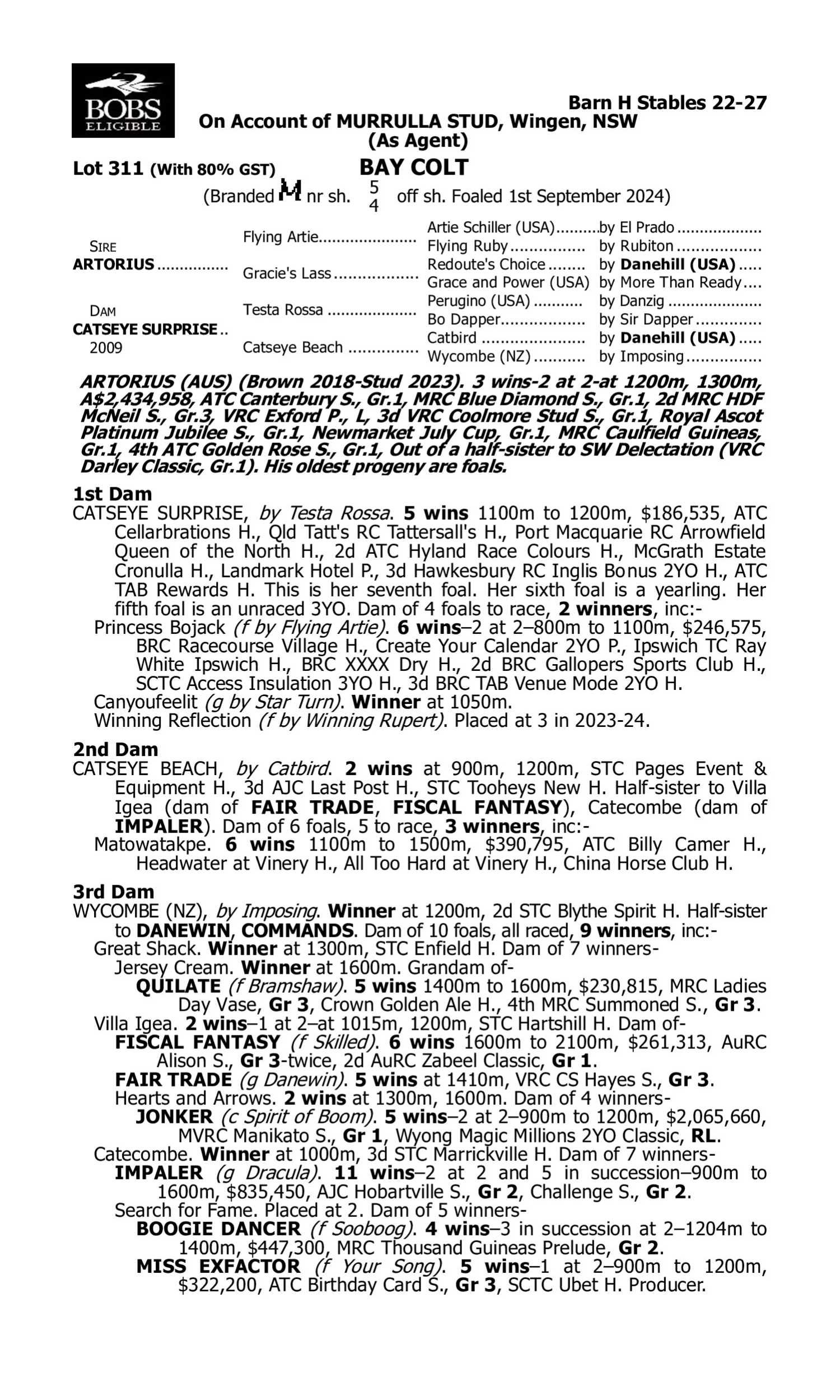 Pedigree for Lot 311 Artorius - Catseye Surprise