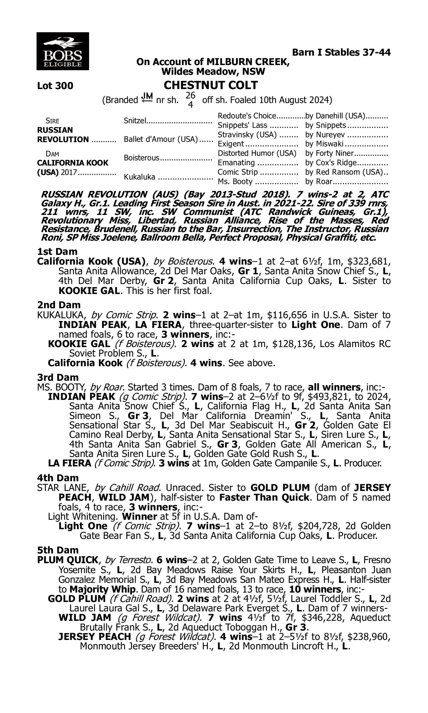 Pedigree for Lot 300 Russian Revolution - California Kook (USA)