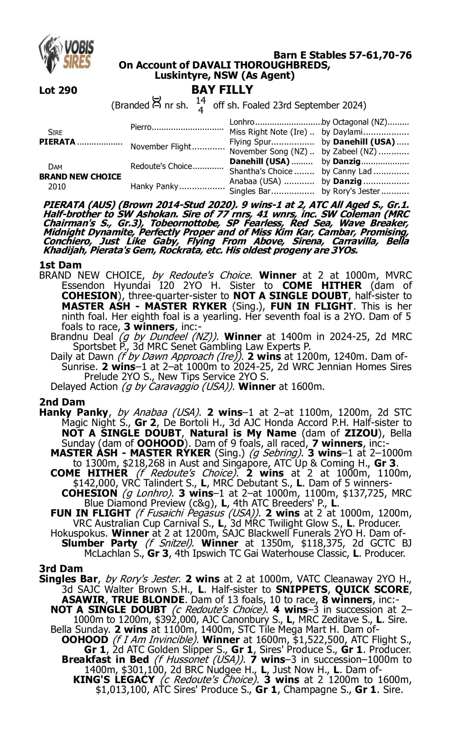 Pedigree for Lot 290 Pierata - Brand New Choice