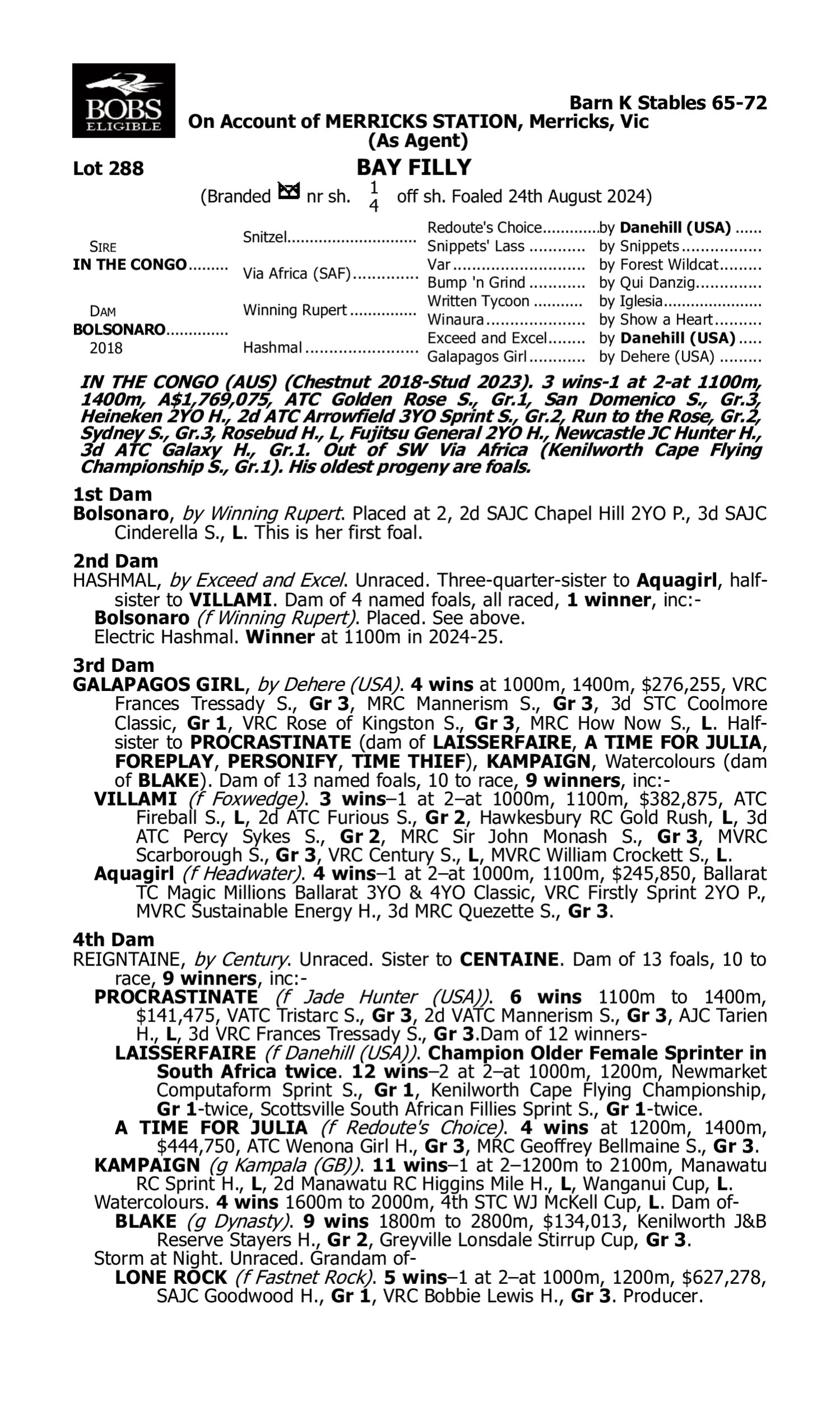 Pedigree for Lot 288 In the Congo - Bolsonaro