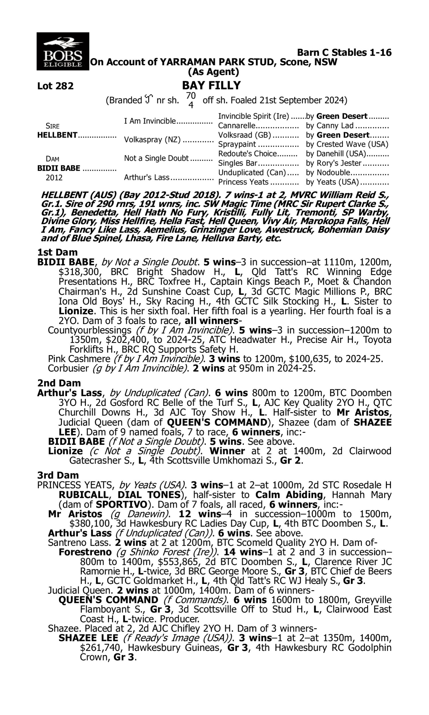 Pedigree for Lot 282 Hellbent - Bidii Babe