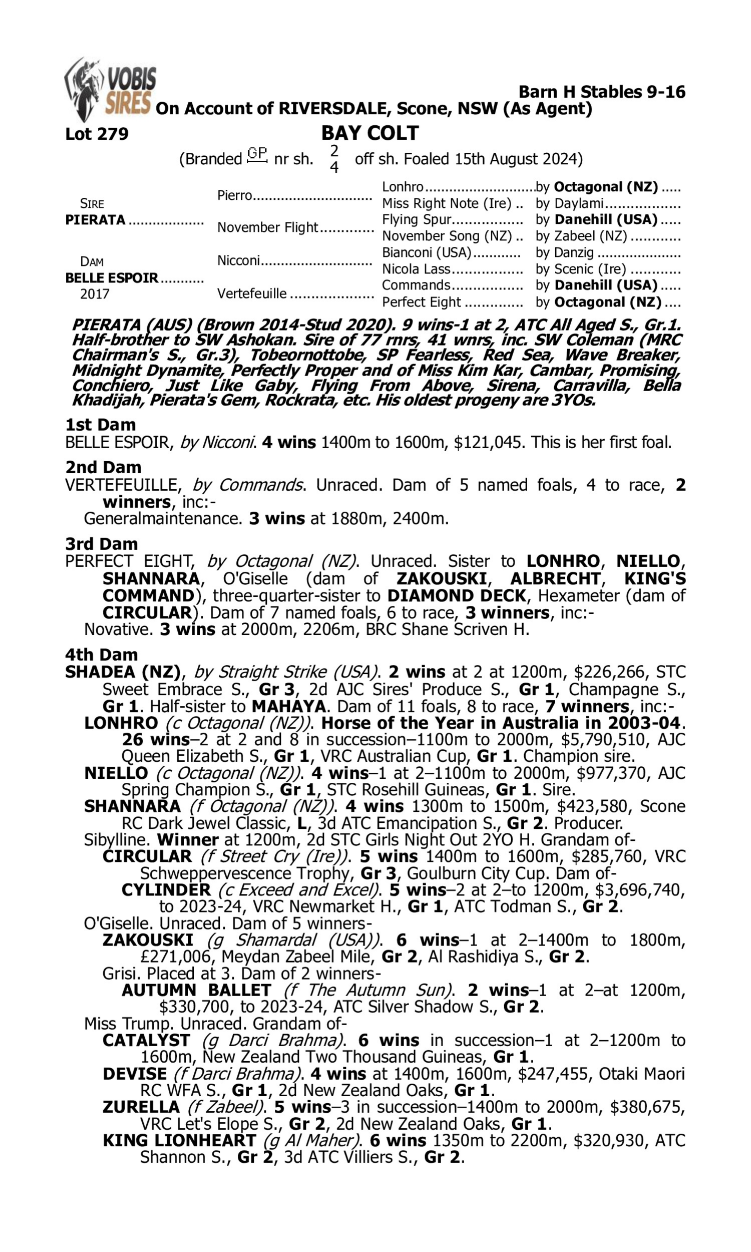 Pedigree for Lot 279 Pierata - Belle Espoir
