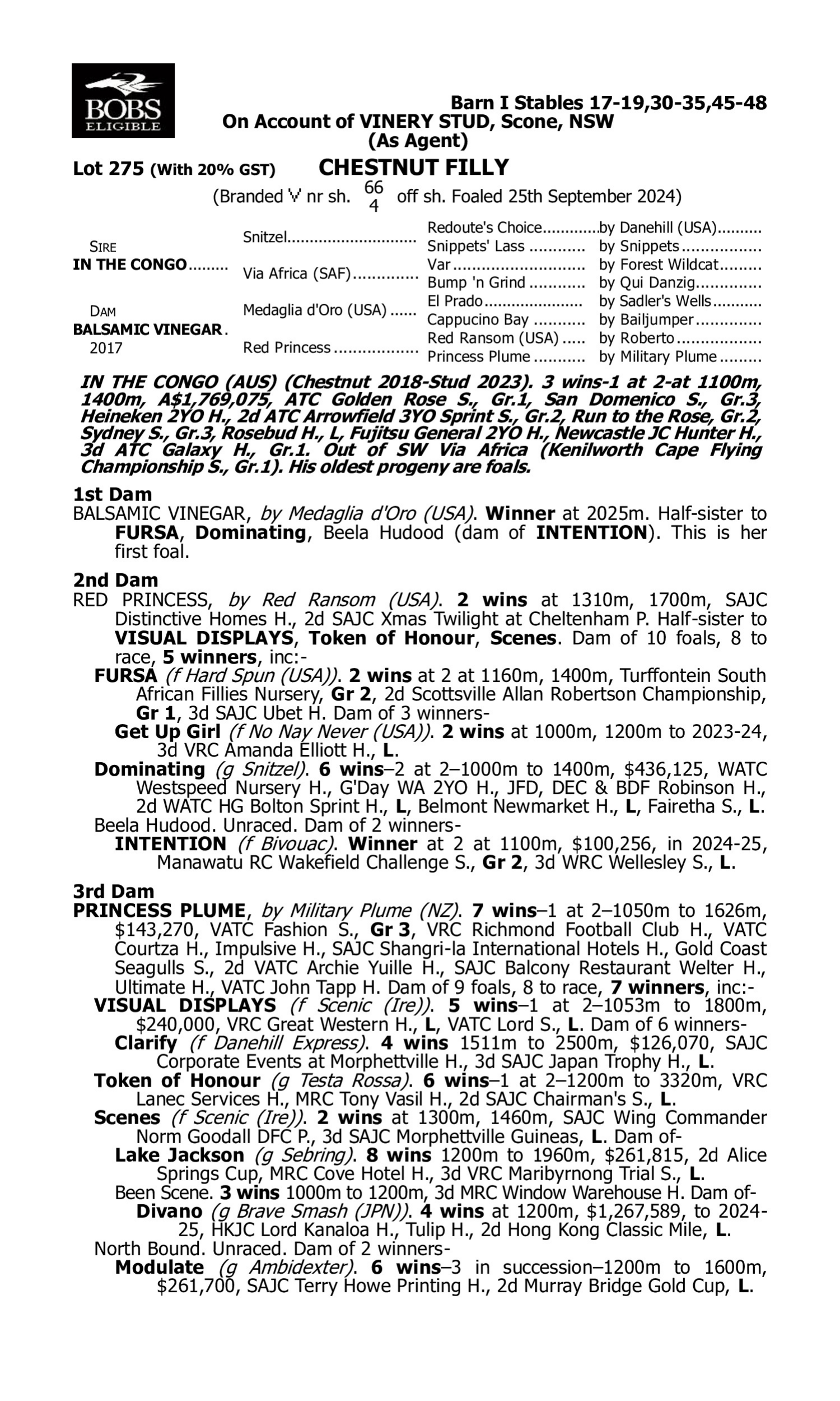 Pedigree for Lot 275 In the Congo - Balsamic Vinegar