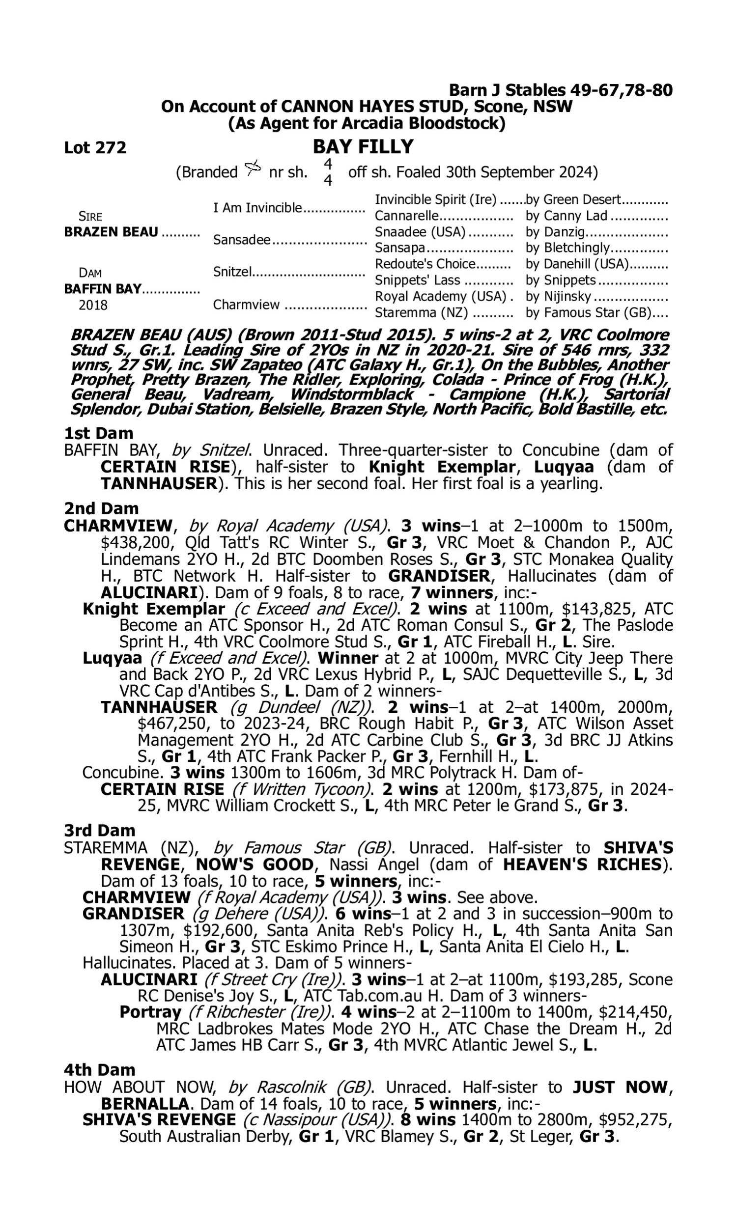Pedigree for Lot 272 Brazen Beau - Baffin Bay