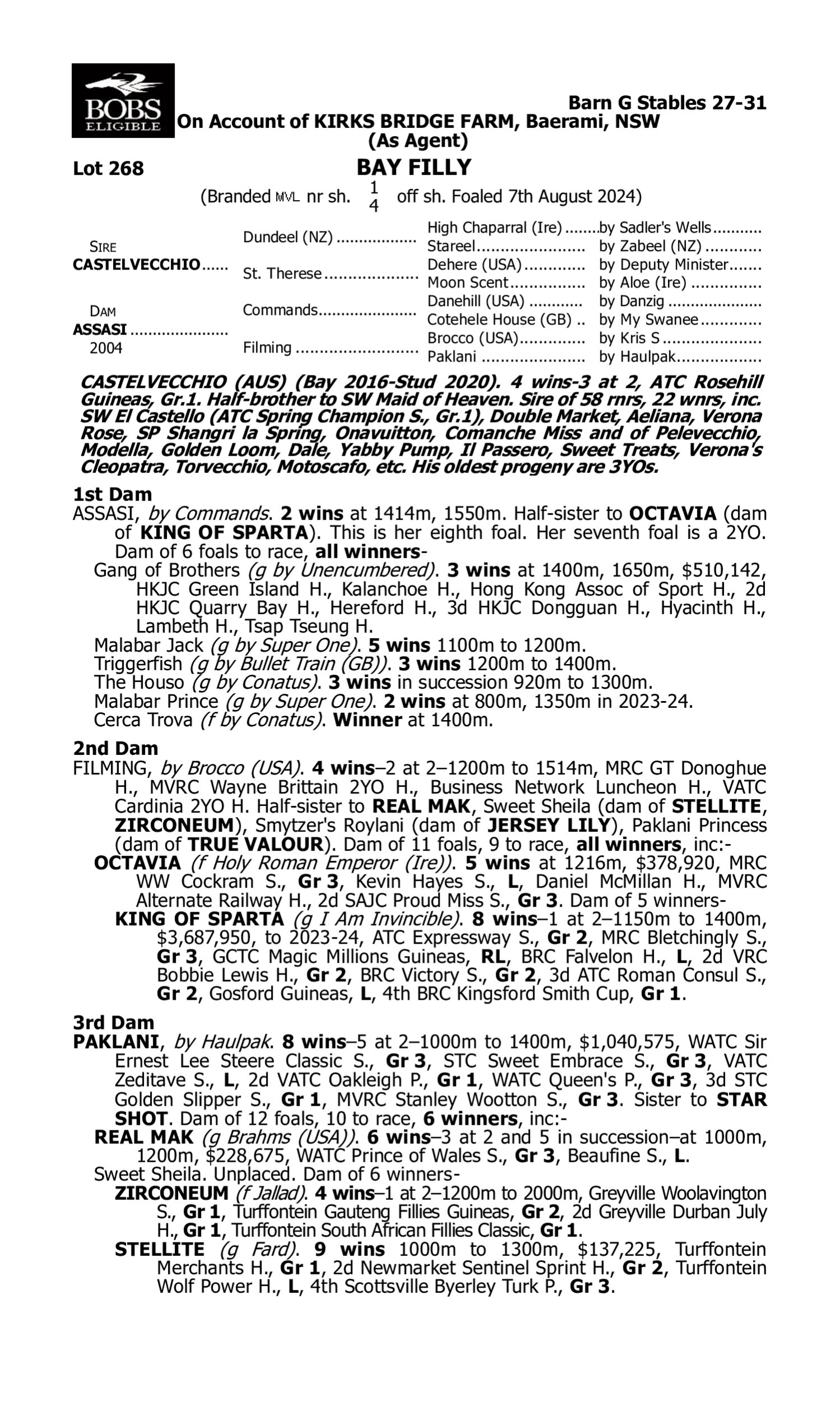 Pedigree for Lot 268 Castelvecchio - Assasi
