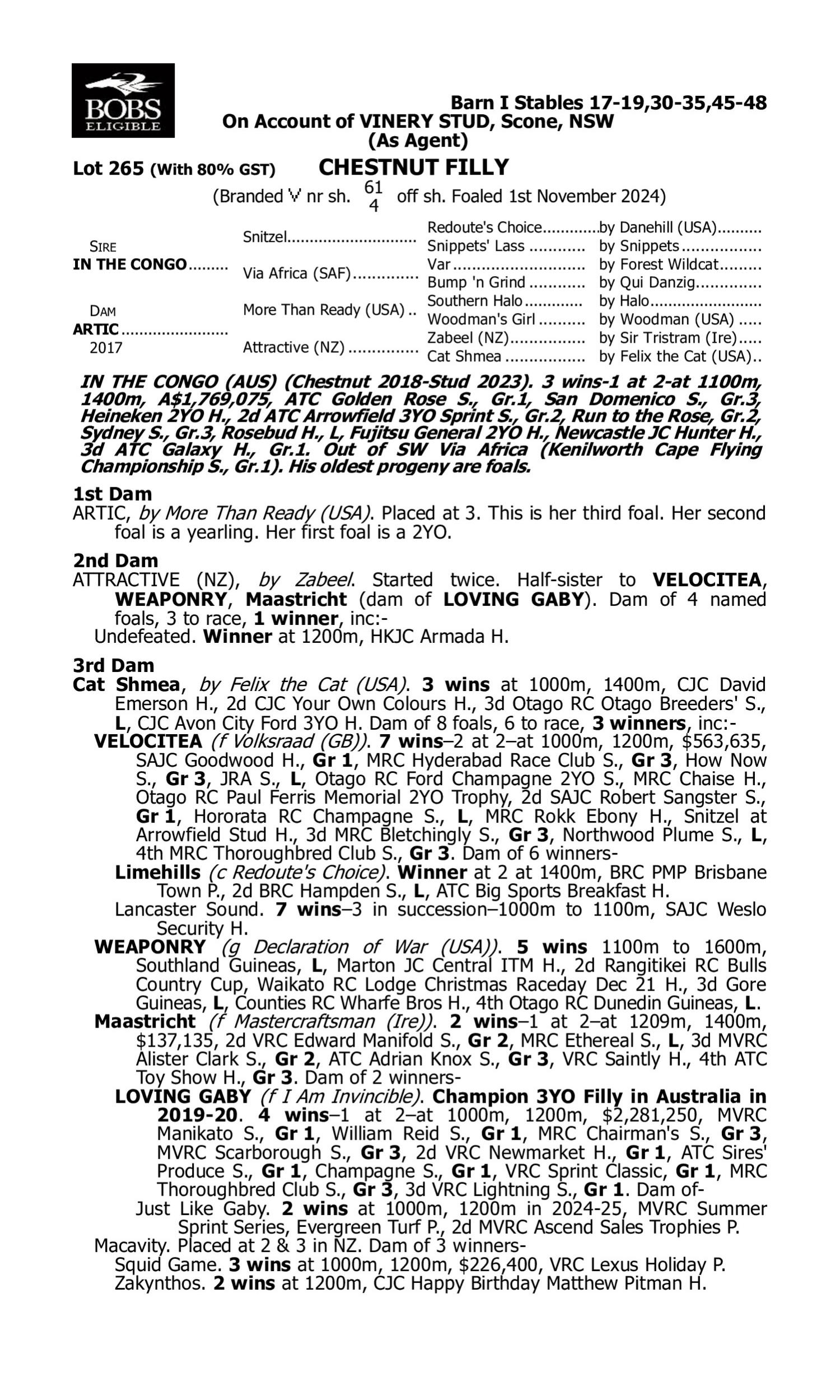 Pedigree for Lot 265 In the Congo - Artic